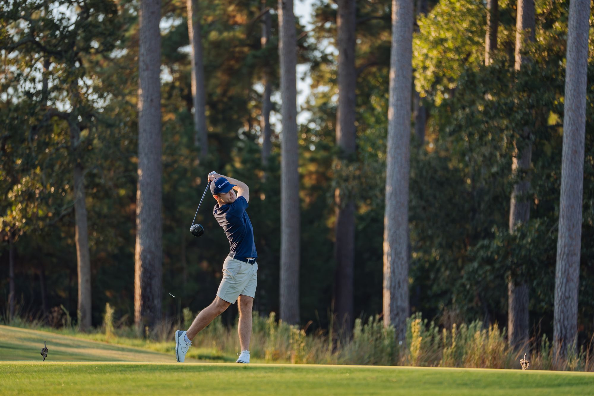 TaylorMade Qi4D Driver product image