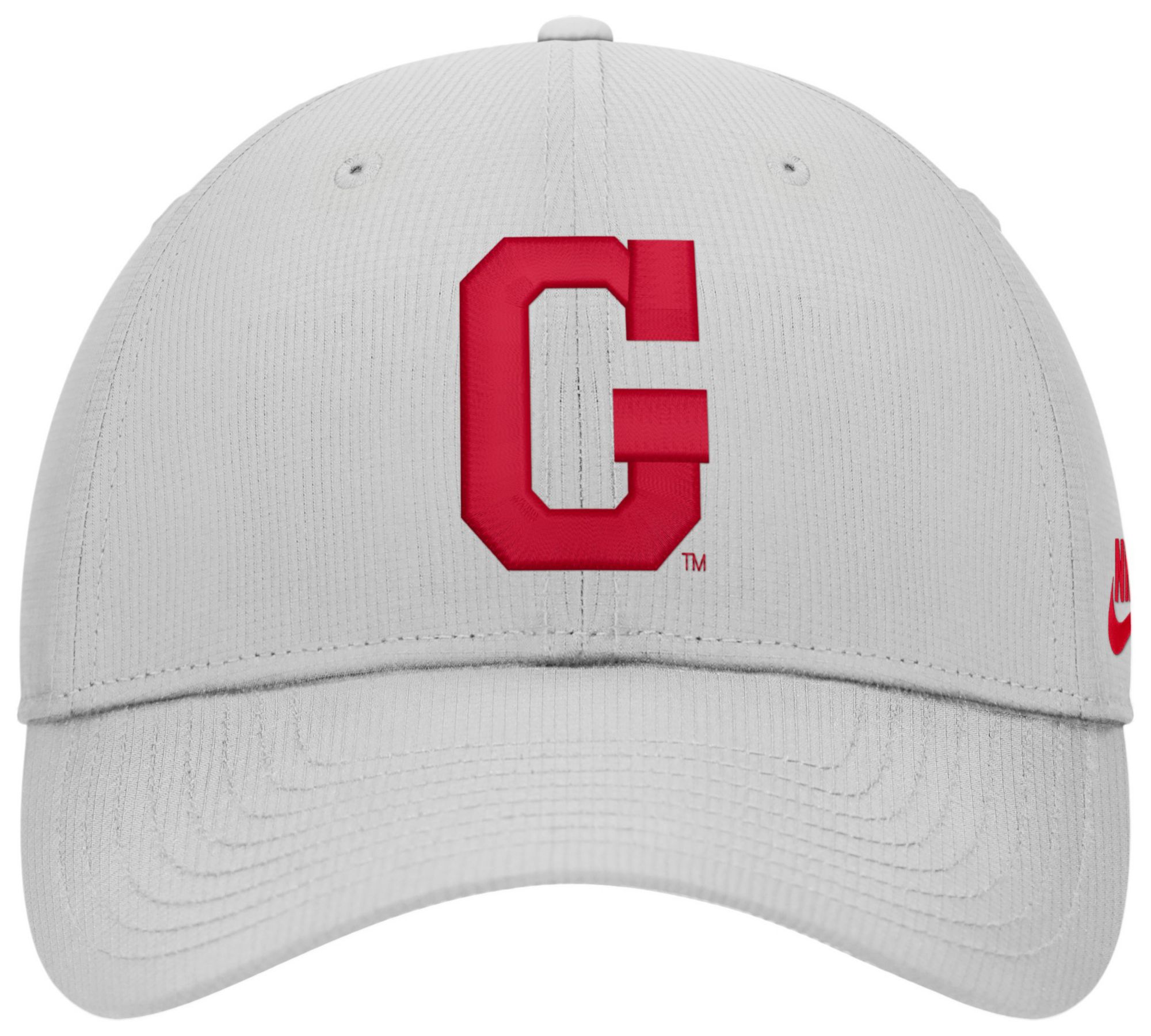 Nike Adult Georgia Bulldogs Photon Dust Academic Club Cap product image