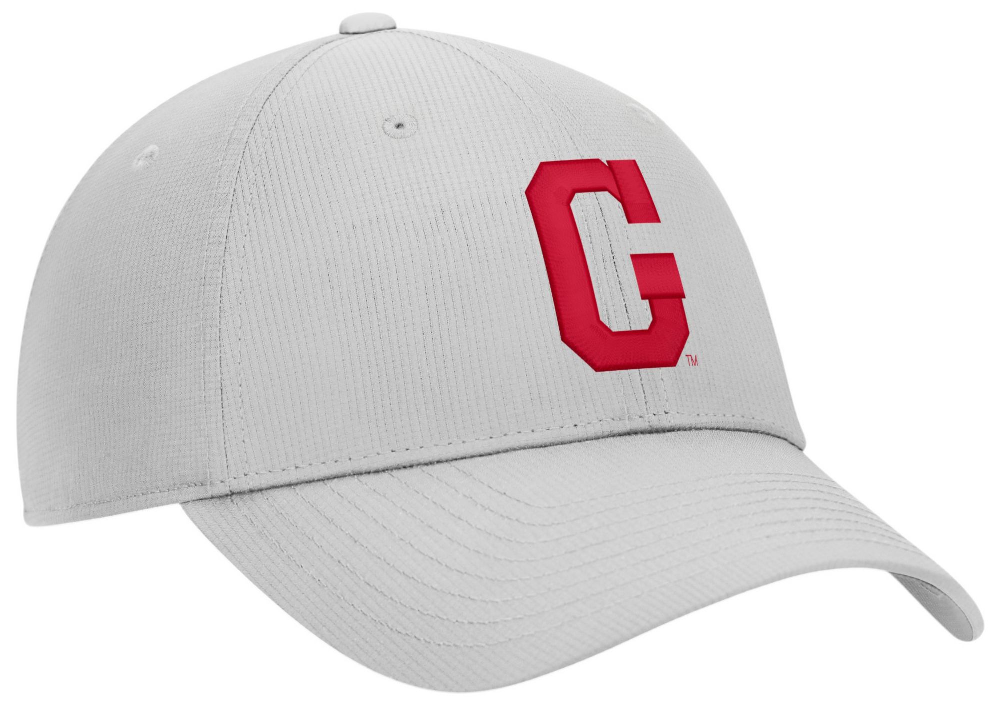 Nike Adult Georgia Bulldogs Photon Dust Academic Club Cap product image