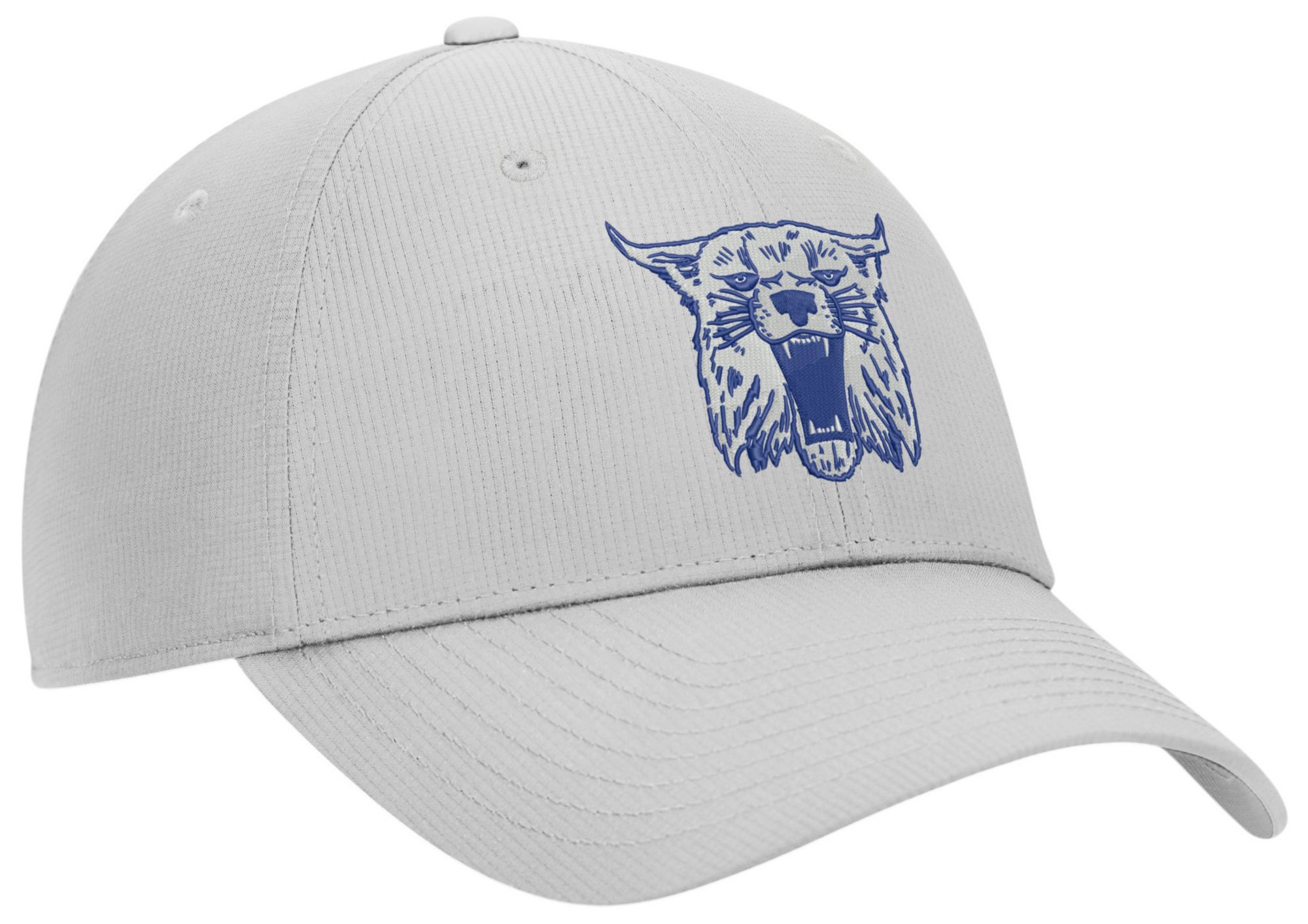 Nike Adult Kentucky Wildcats Photon Dust Academic Club Cap product image