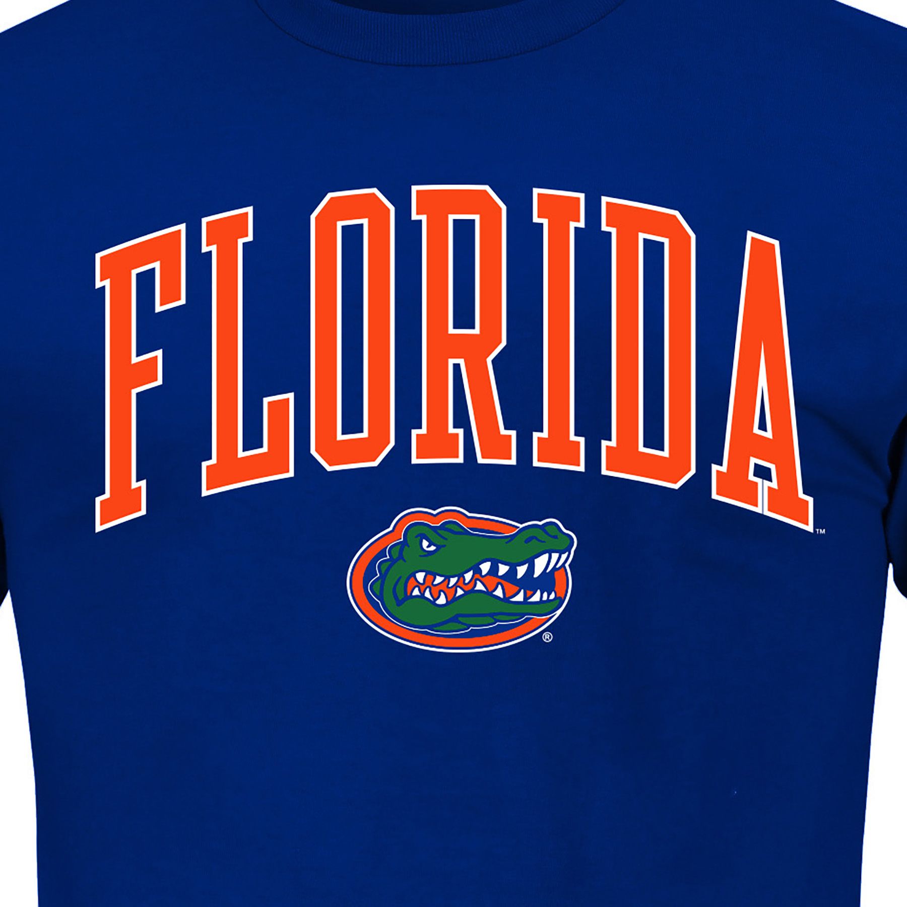 Champion Men's Big & Tall Florida Gators Royal T-Shirt product image