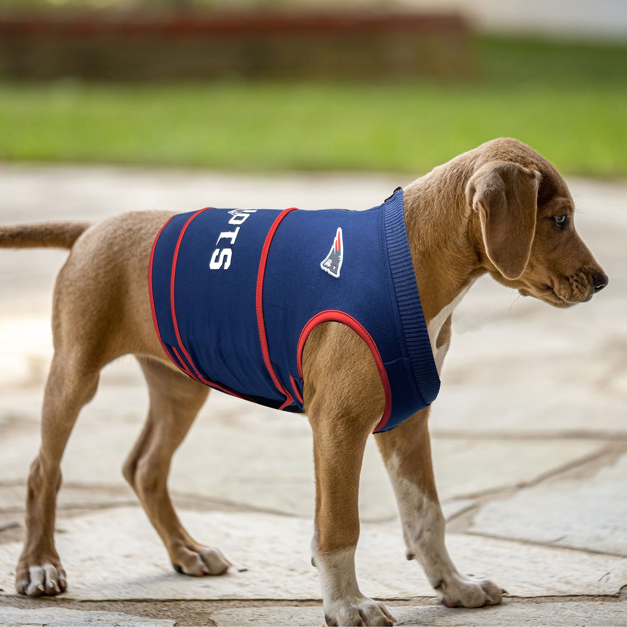 Pets First New England Patriots Soothing Vest product image