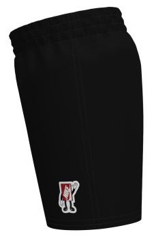 Nike Little Boys' Swim Breaker Boxy Patch 5” Swim Trunks product image