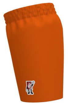 Nike Little Boys' Swim Breaker Boxy Patch 5” Volley Shorts product image