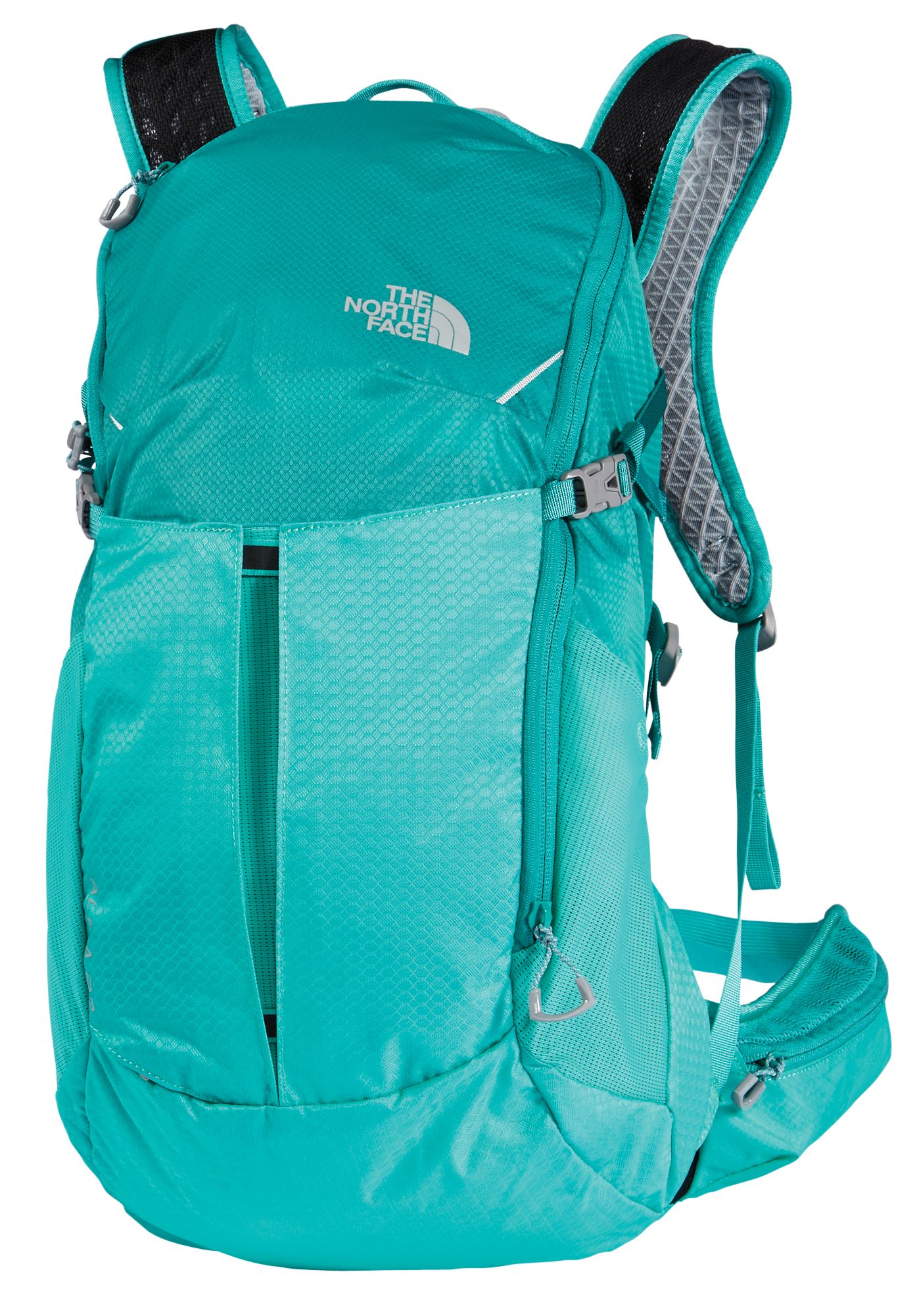 aleia 22 backpack