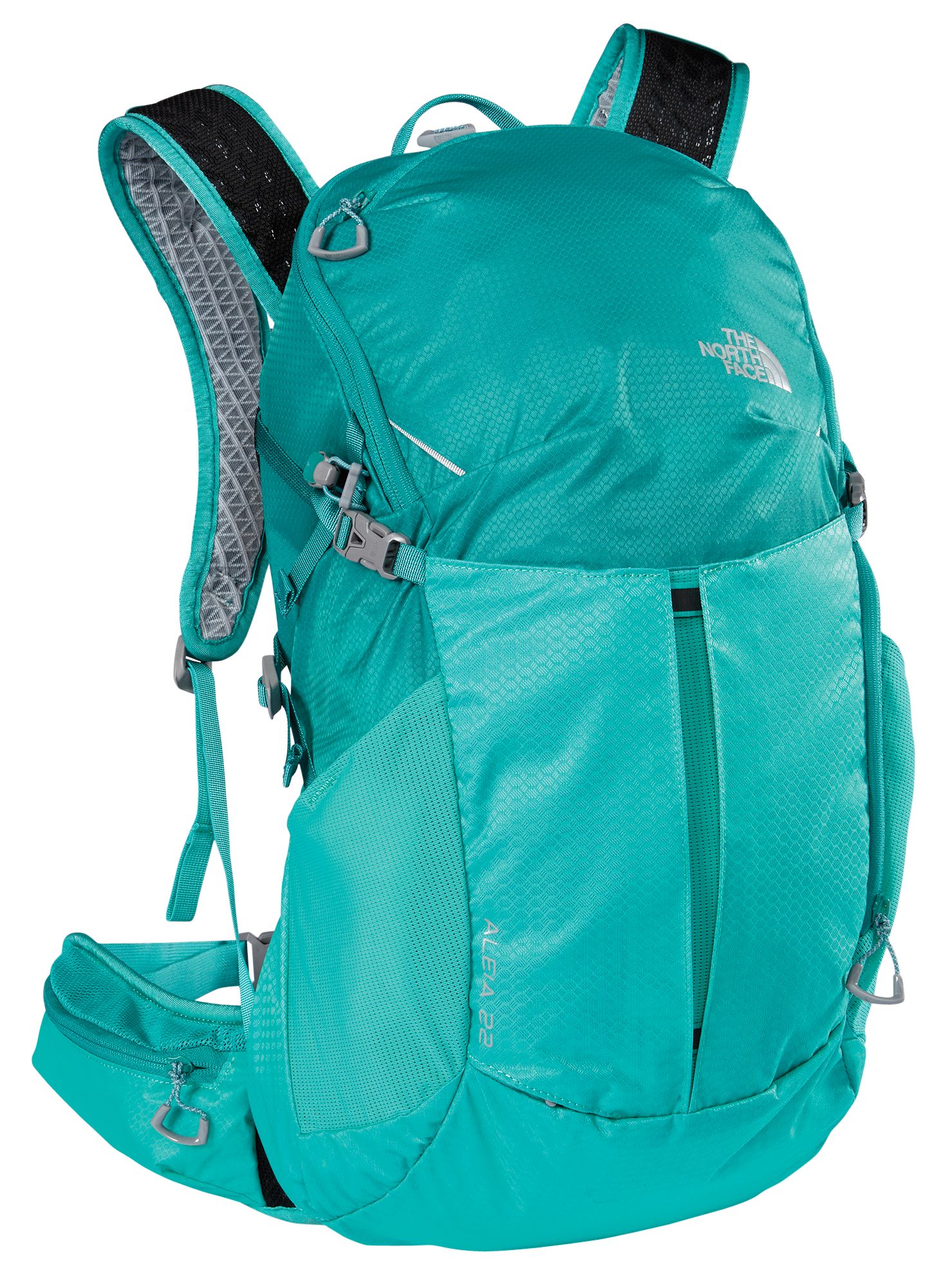 aleia 22 backpack