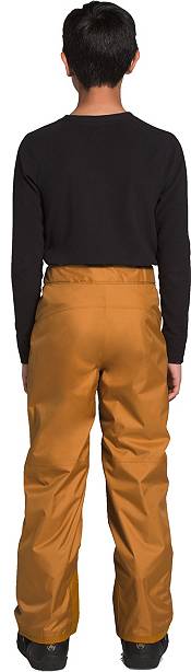 The North Face Boys' Freedom Insulated Pants product image