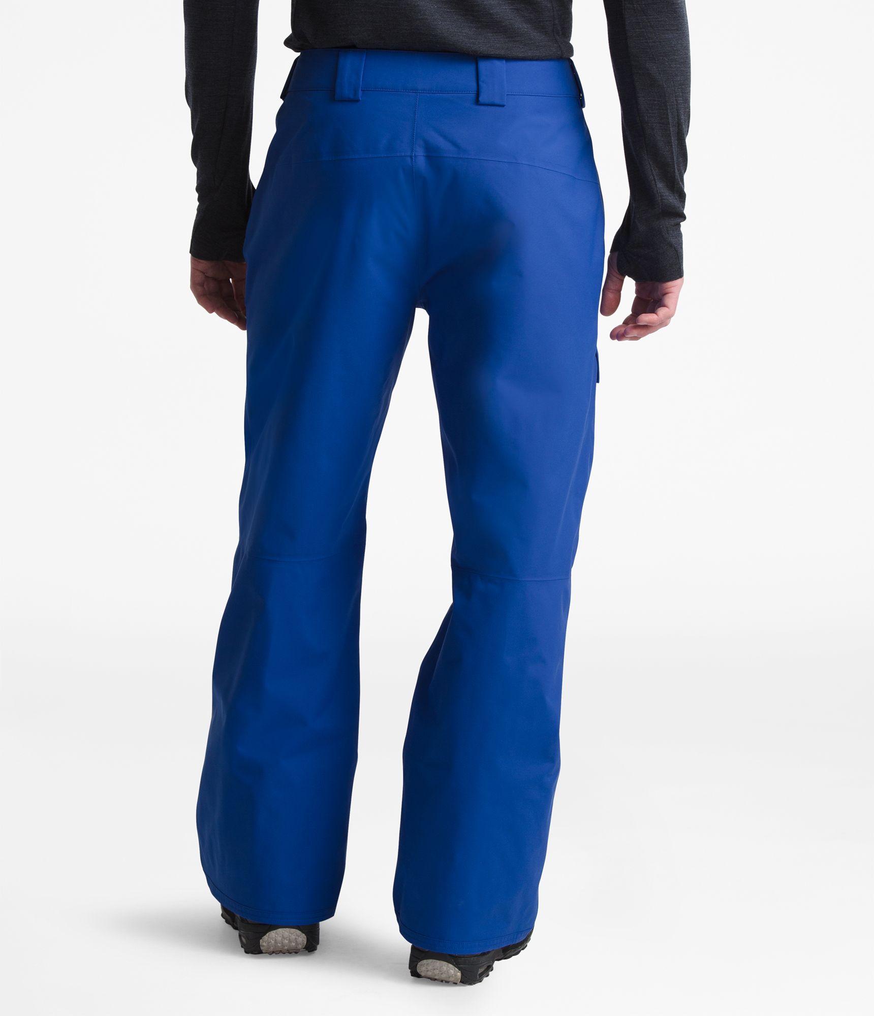 the north face seymore snow pants