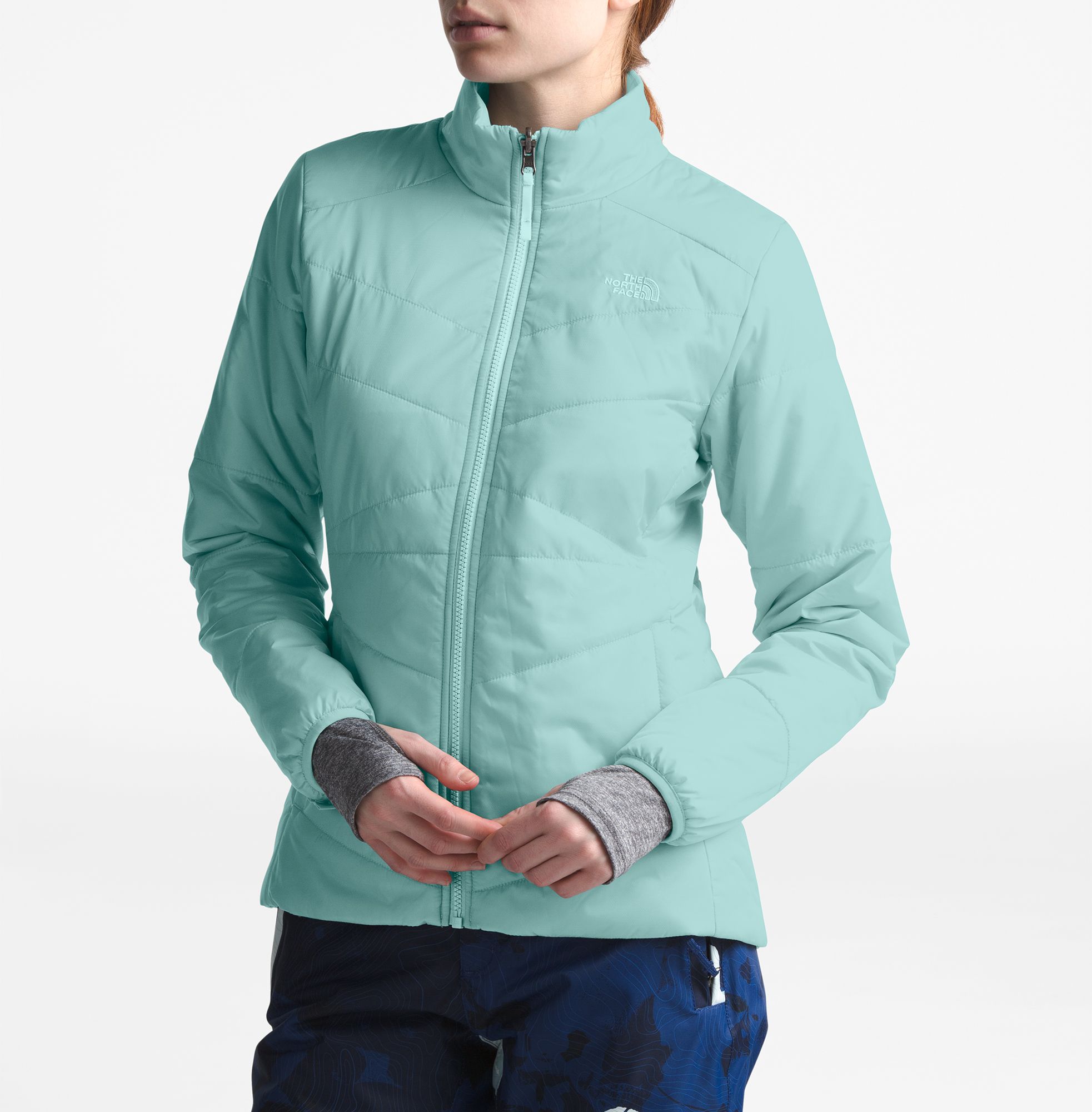 the north face women's clementine triclimate jacket past season