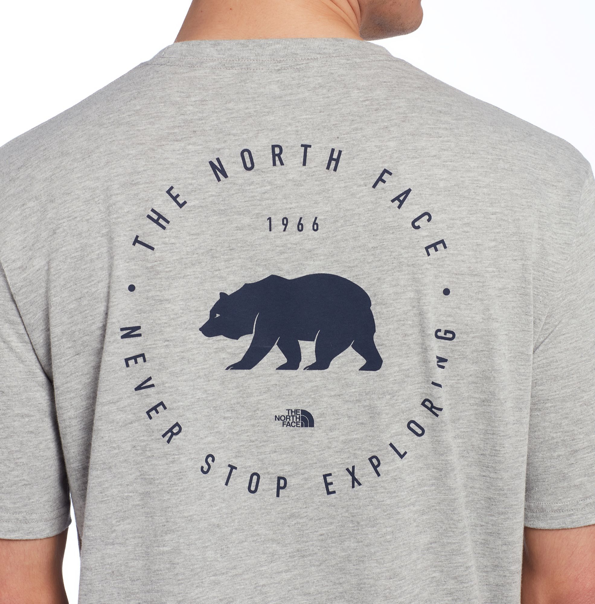 north face bearitage