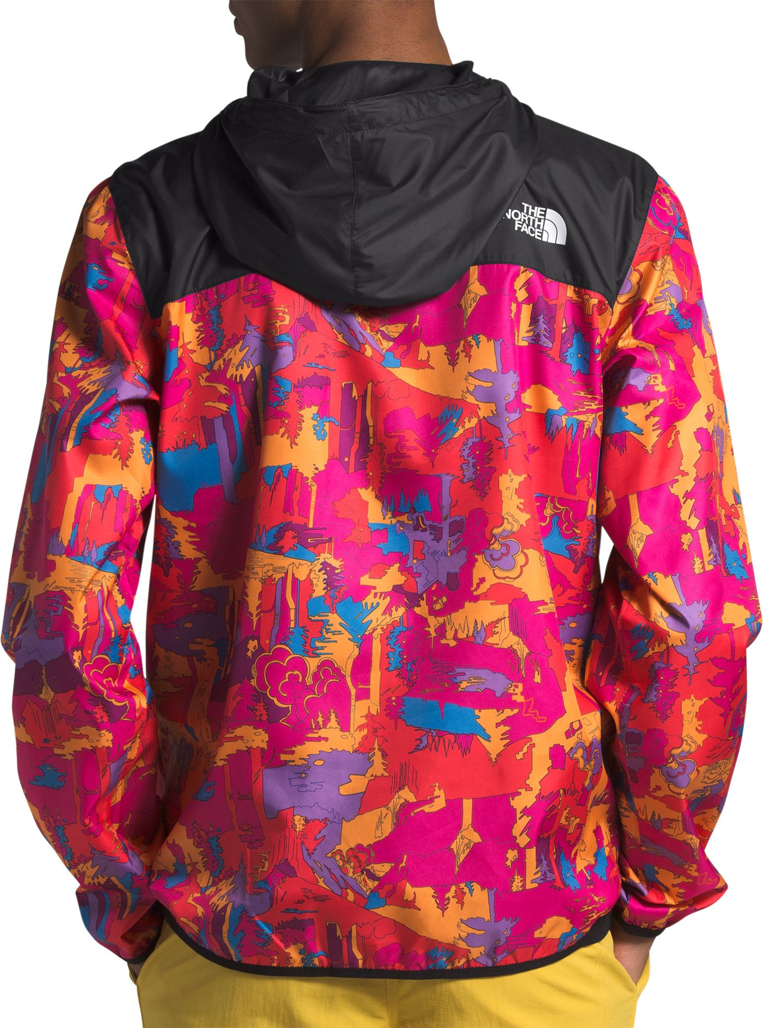 the north face men's novelty fanorak jacket