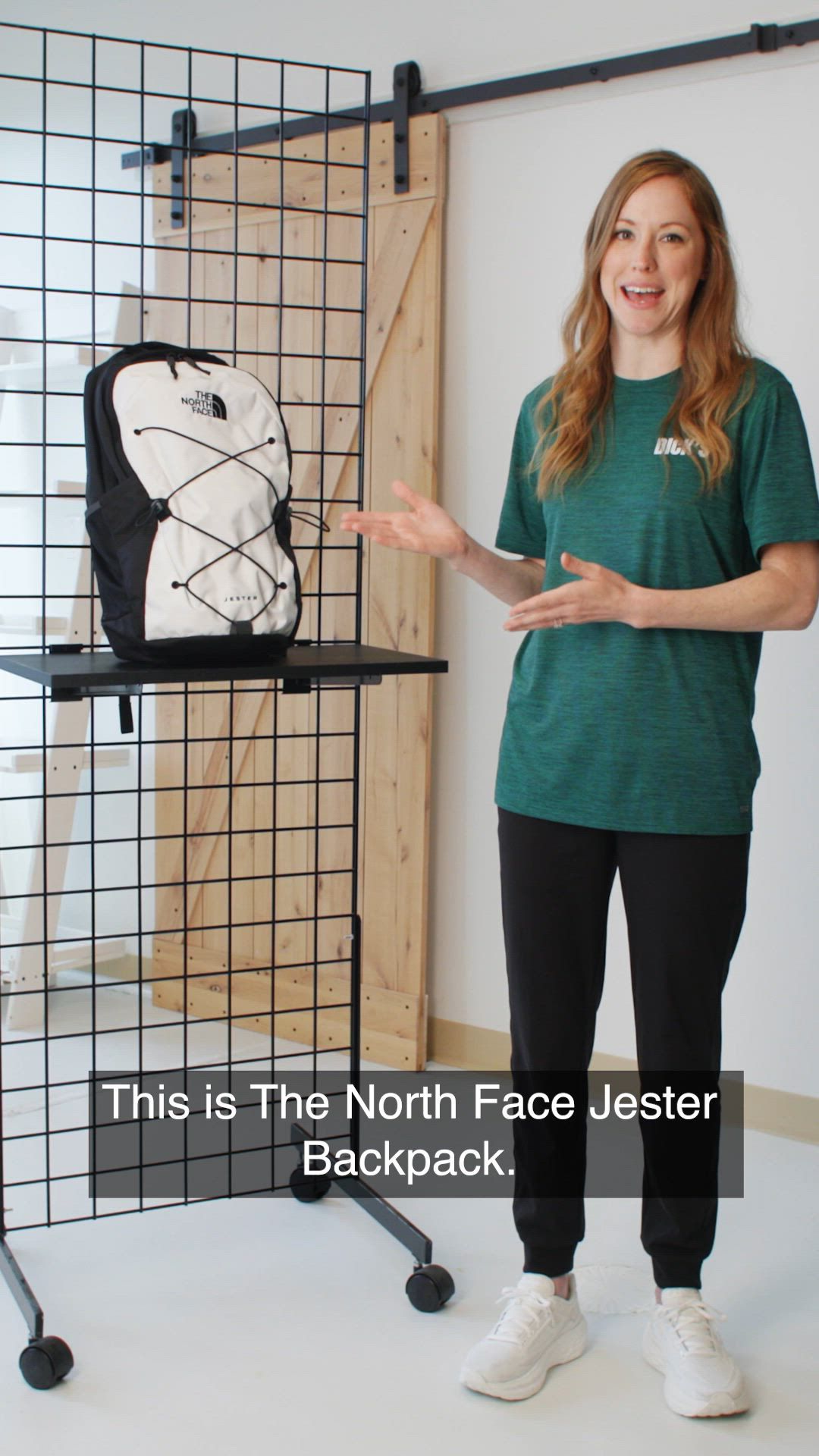 The North Face Jester Backpack product