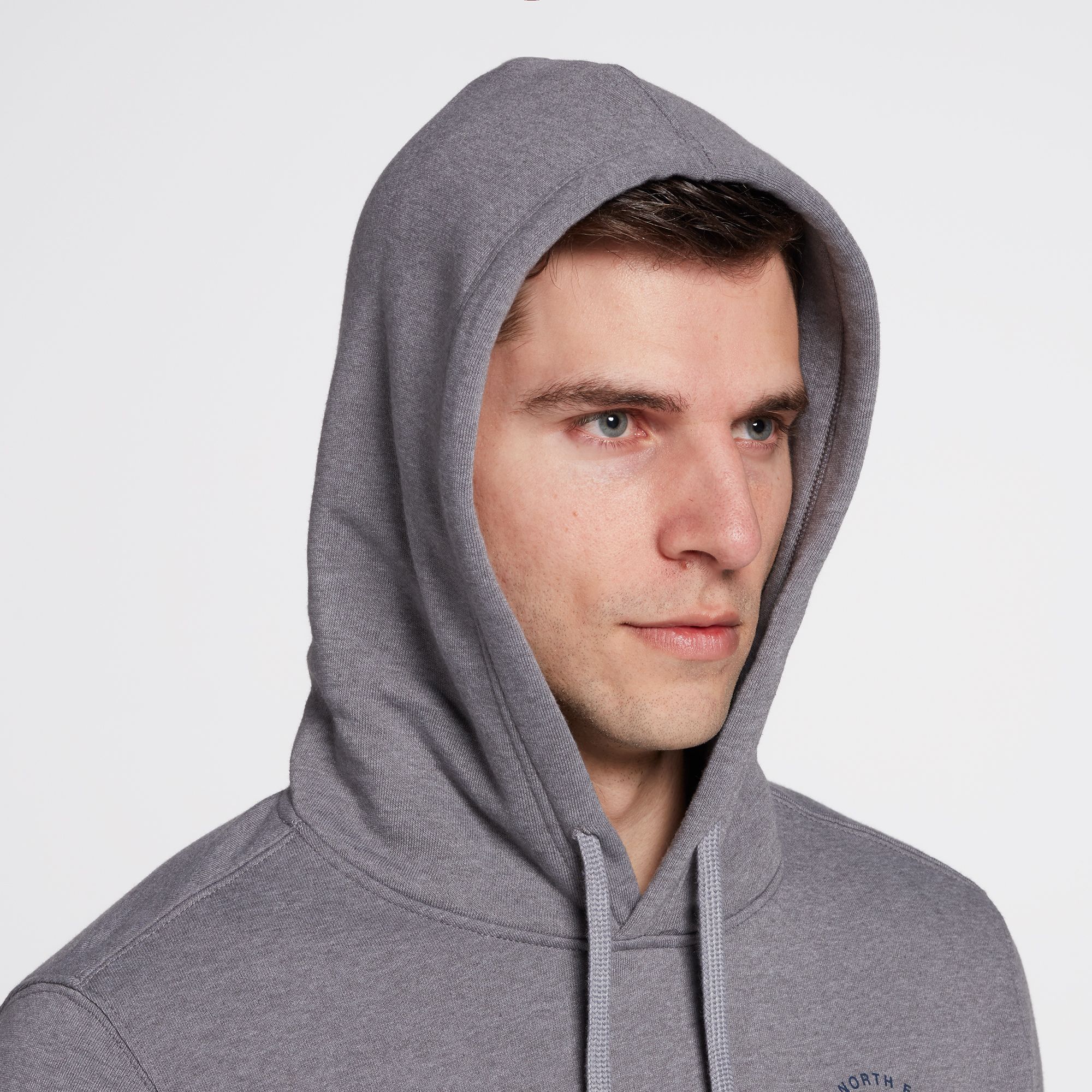 the north face bearscape hoodie