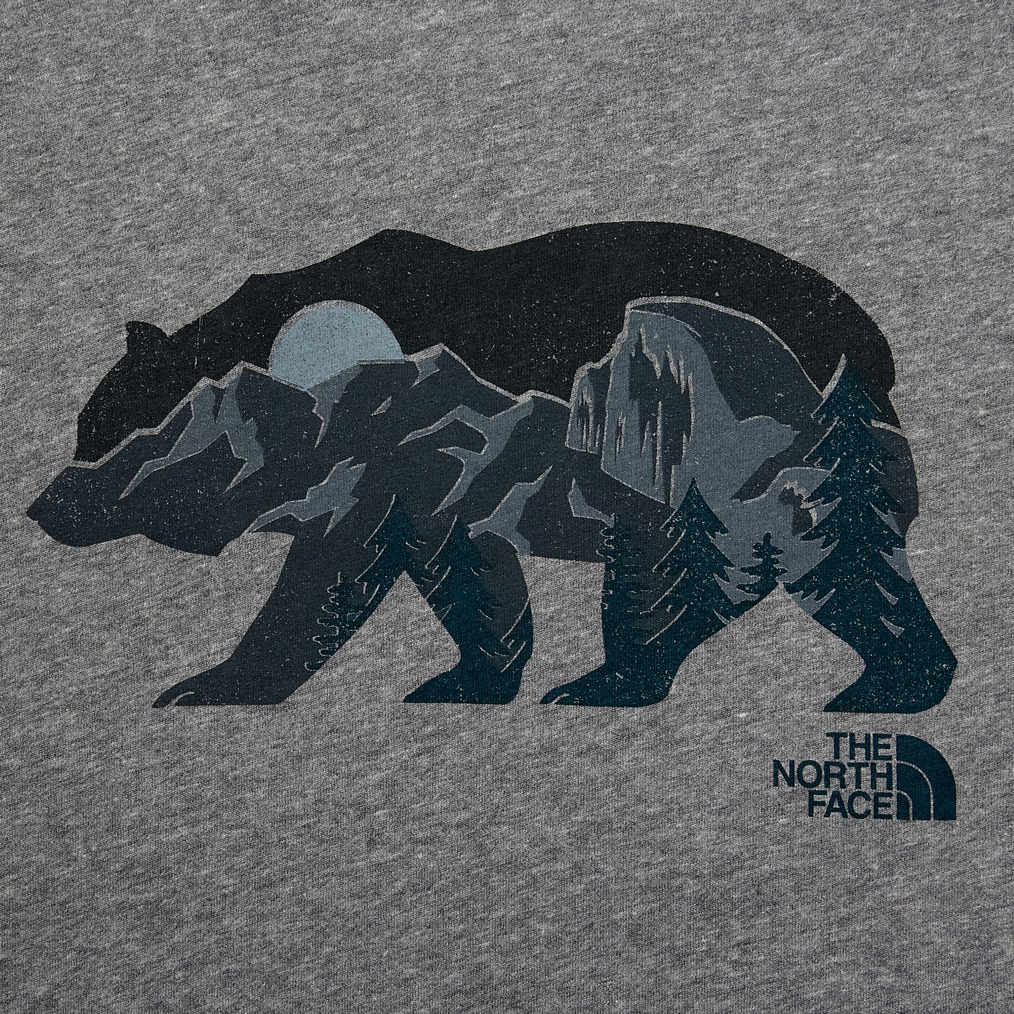 the north face bearscape