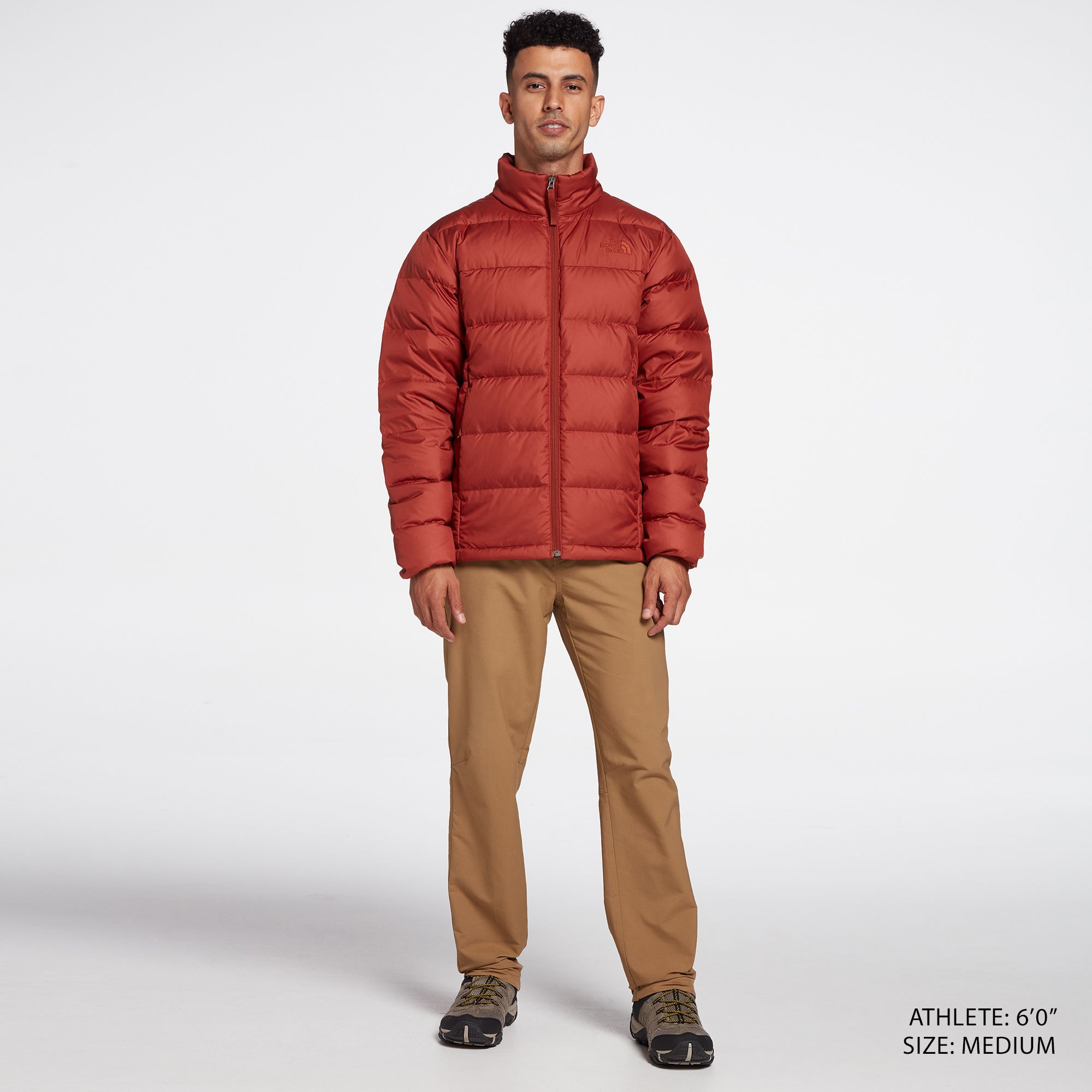 north face men's alpz