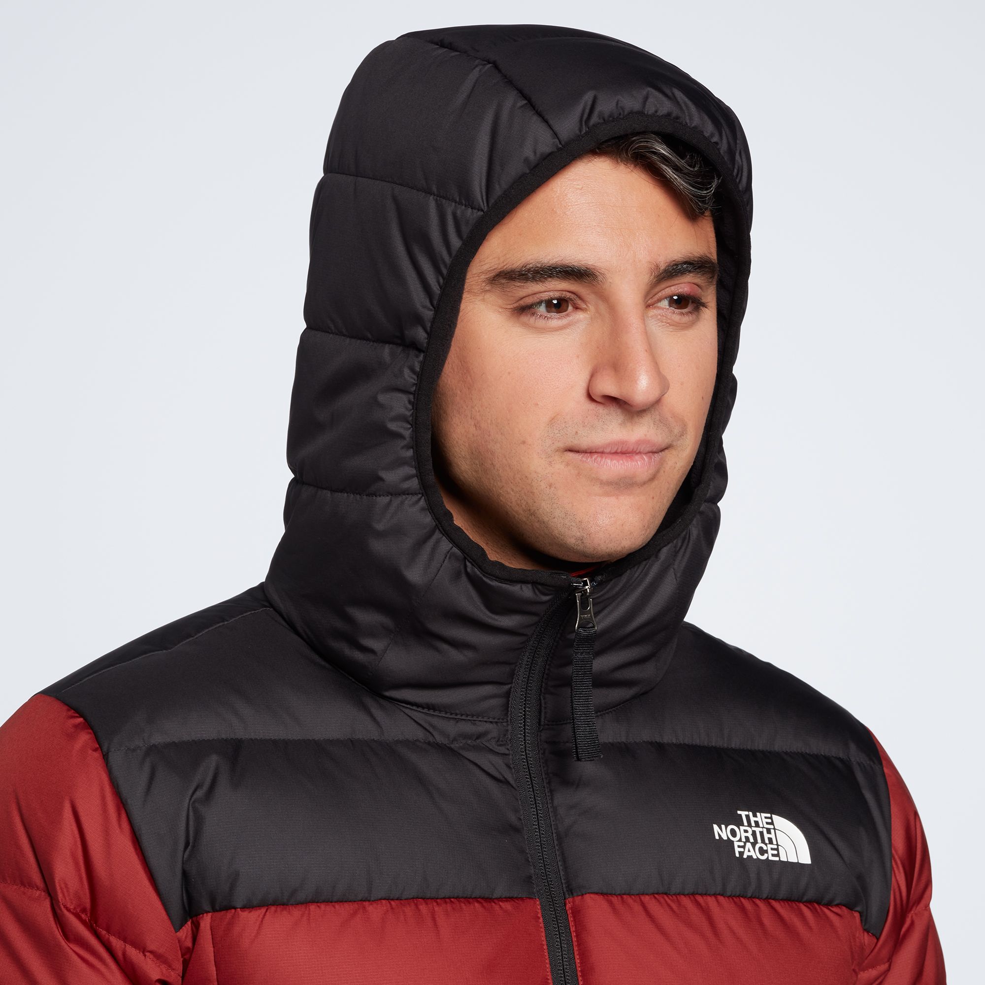 north face alpz luxe hooded jacket men's