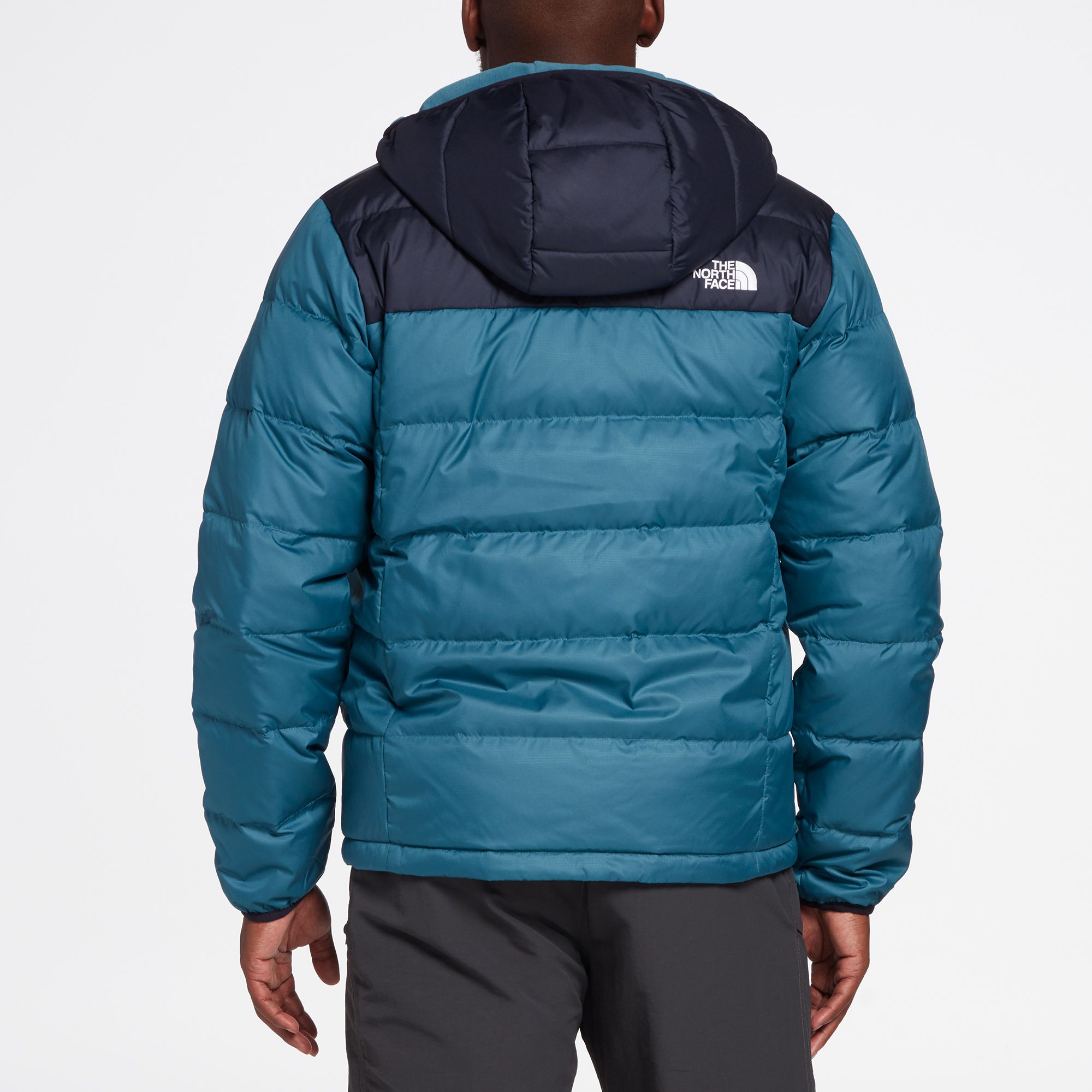 north face men's alpz luxe winter jacket