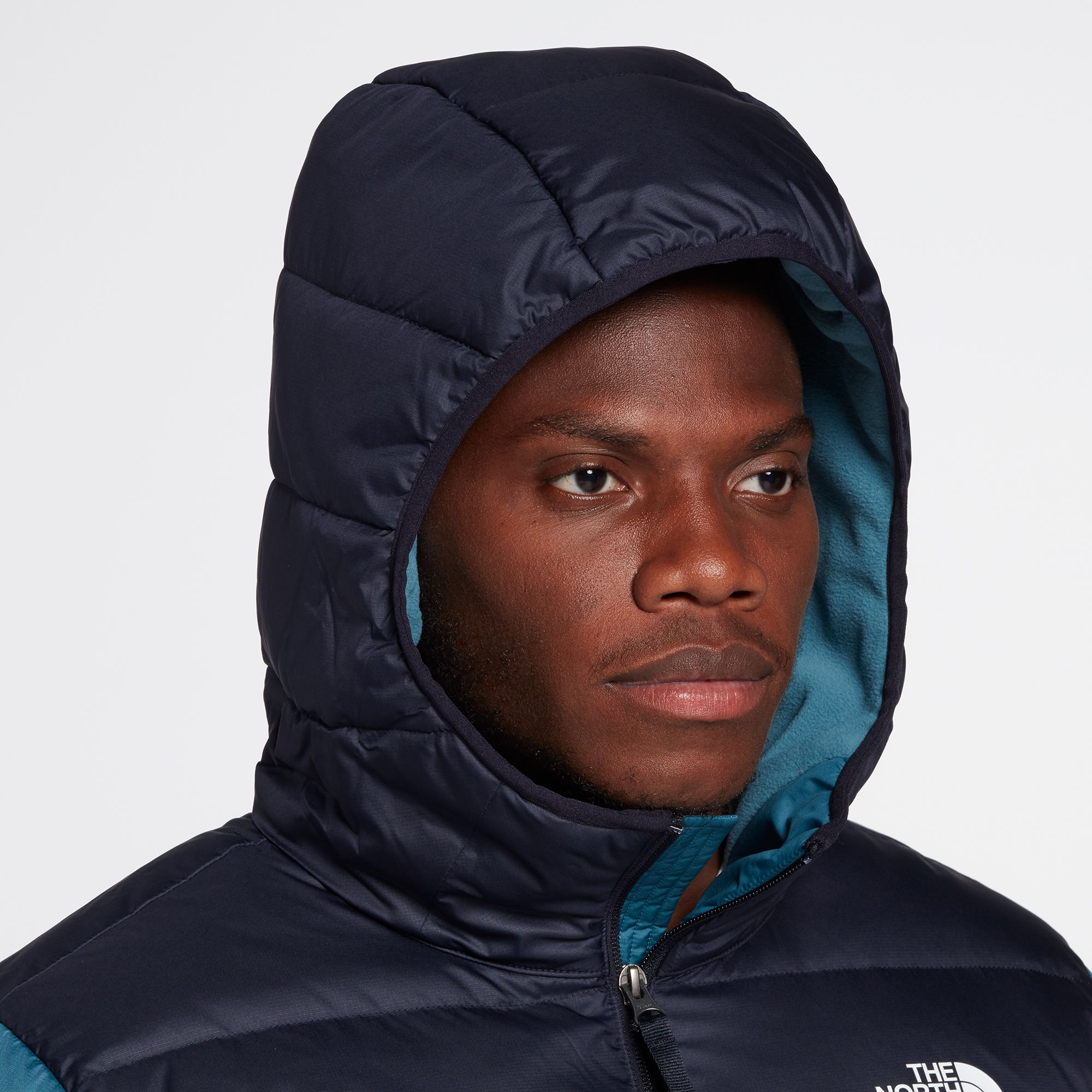 north face men's alpz luxe winter jacket