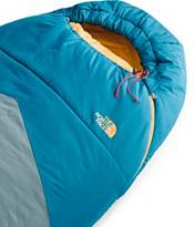 The North Face Wasatch Pro 20 Sleeping Bag product image