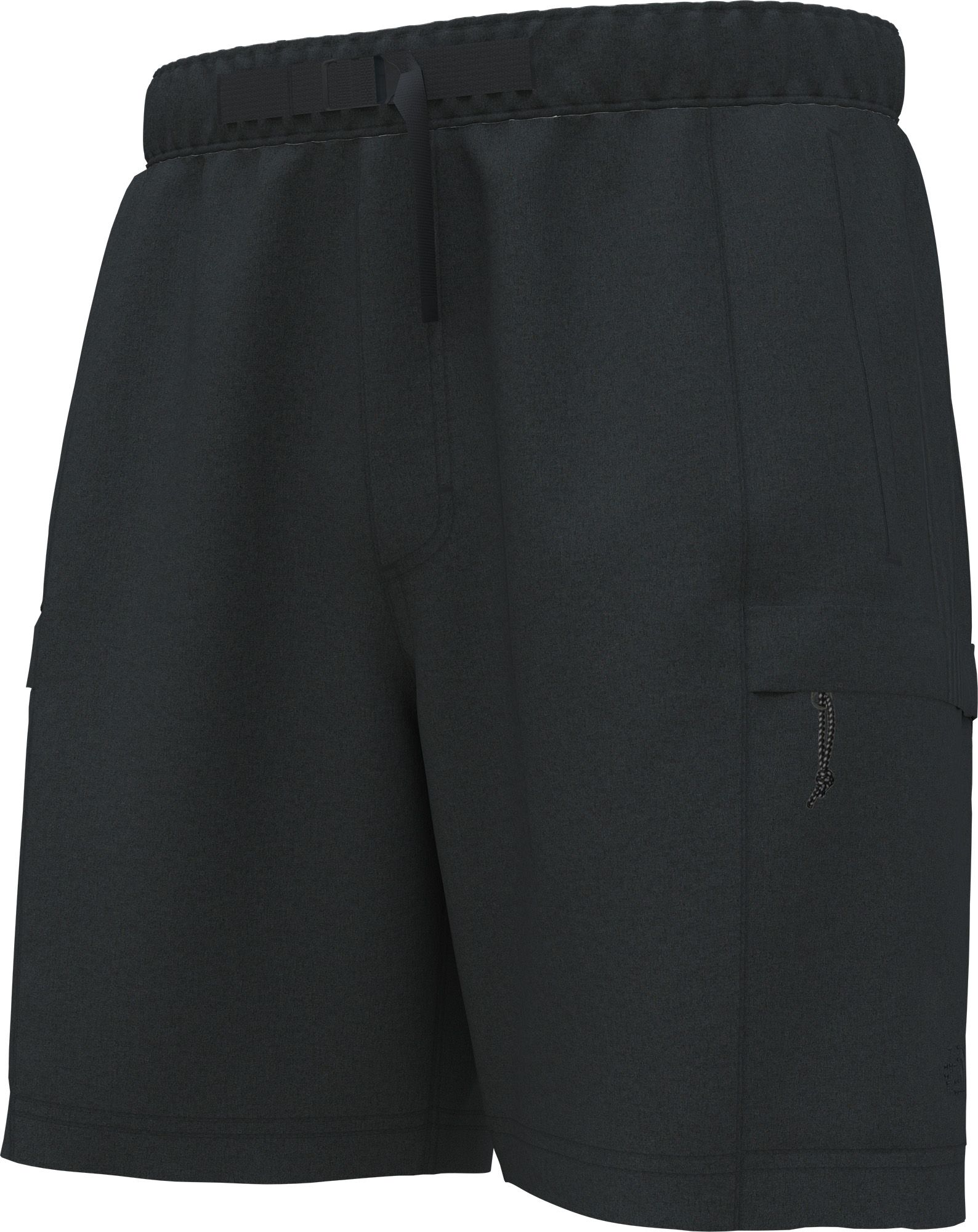 The North Face Men's Class V Belted Shorts product image