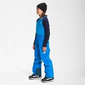 The North Face Boys' Freedom Insulated Snow Pants product image
