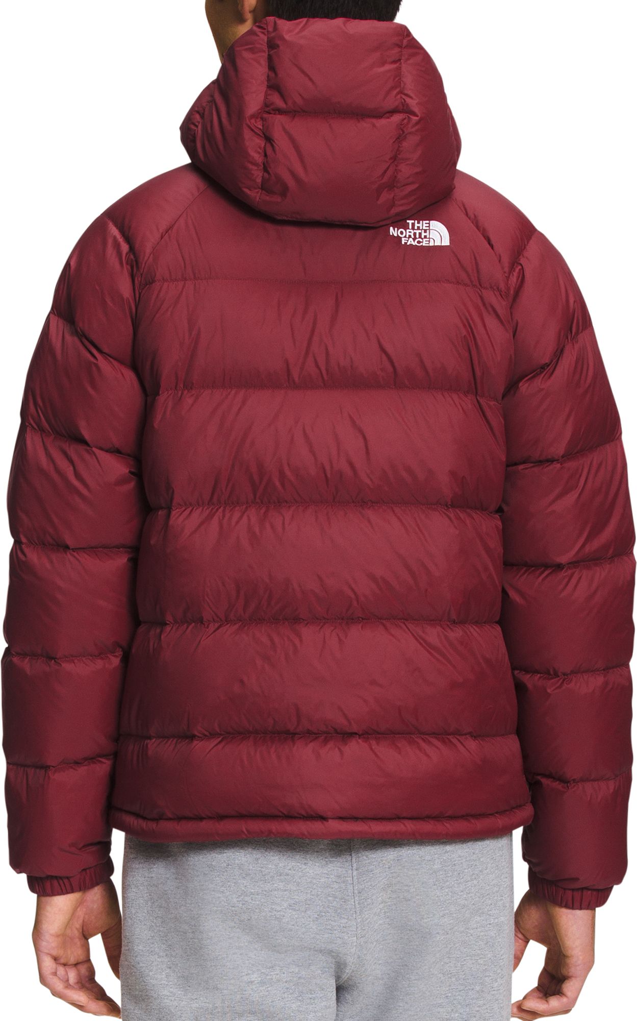 The North Face Men's Hydrenalite Down Hooded Jacket | Dick's Sporting Goods