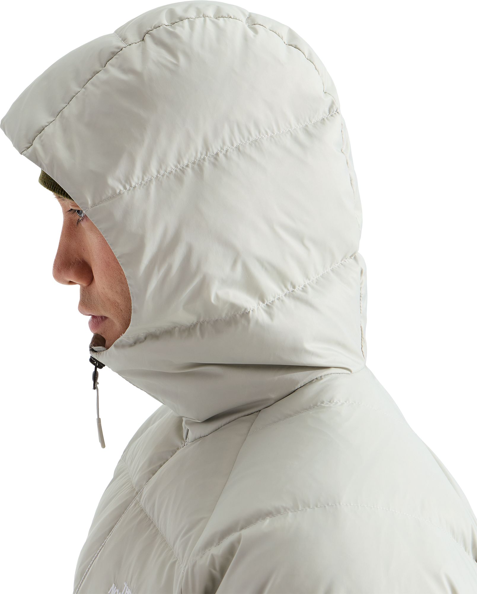 The North Face Men's Hydrenalite Down Hooded Jacket product image