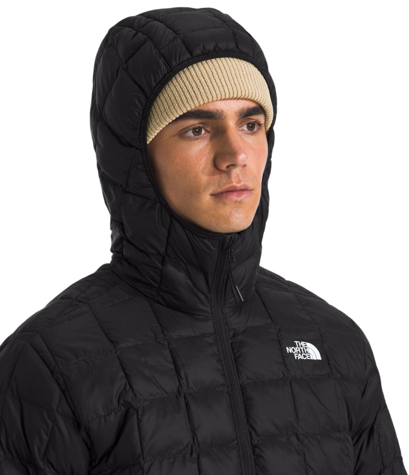 The North Face store Thermoball Eco Hoody (Men's Small)(OG Price: $230)