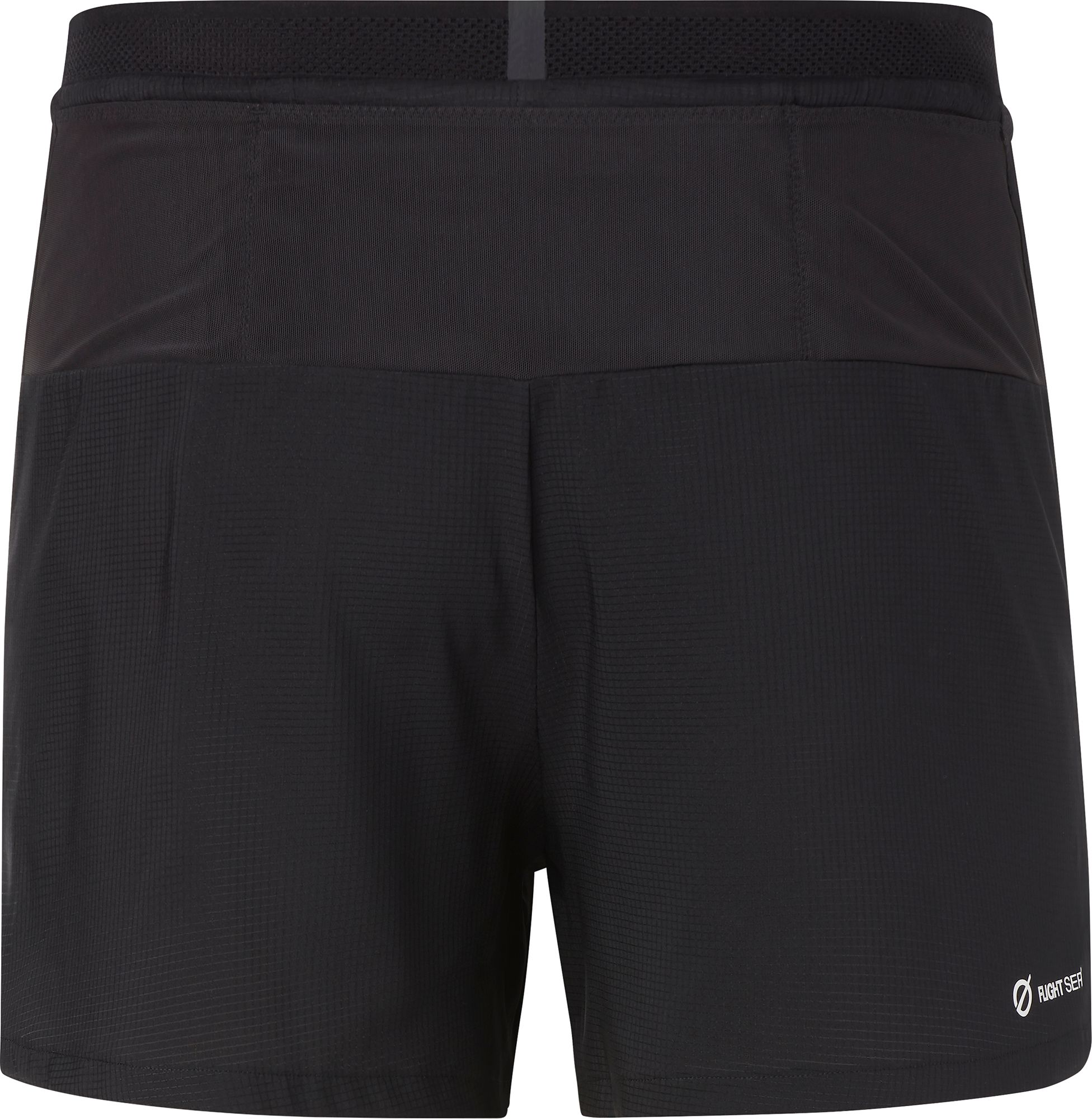 The North Face Men's Flight Stridelight Shorts product image