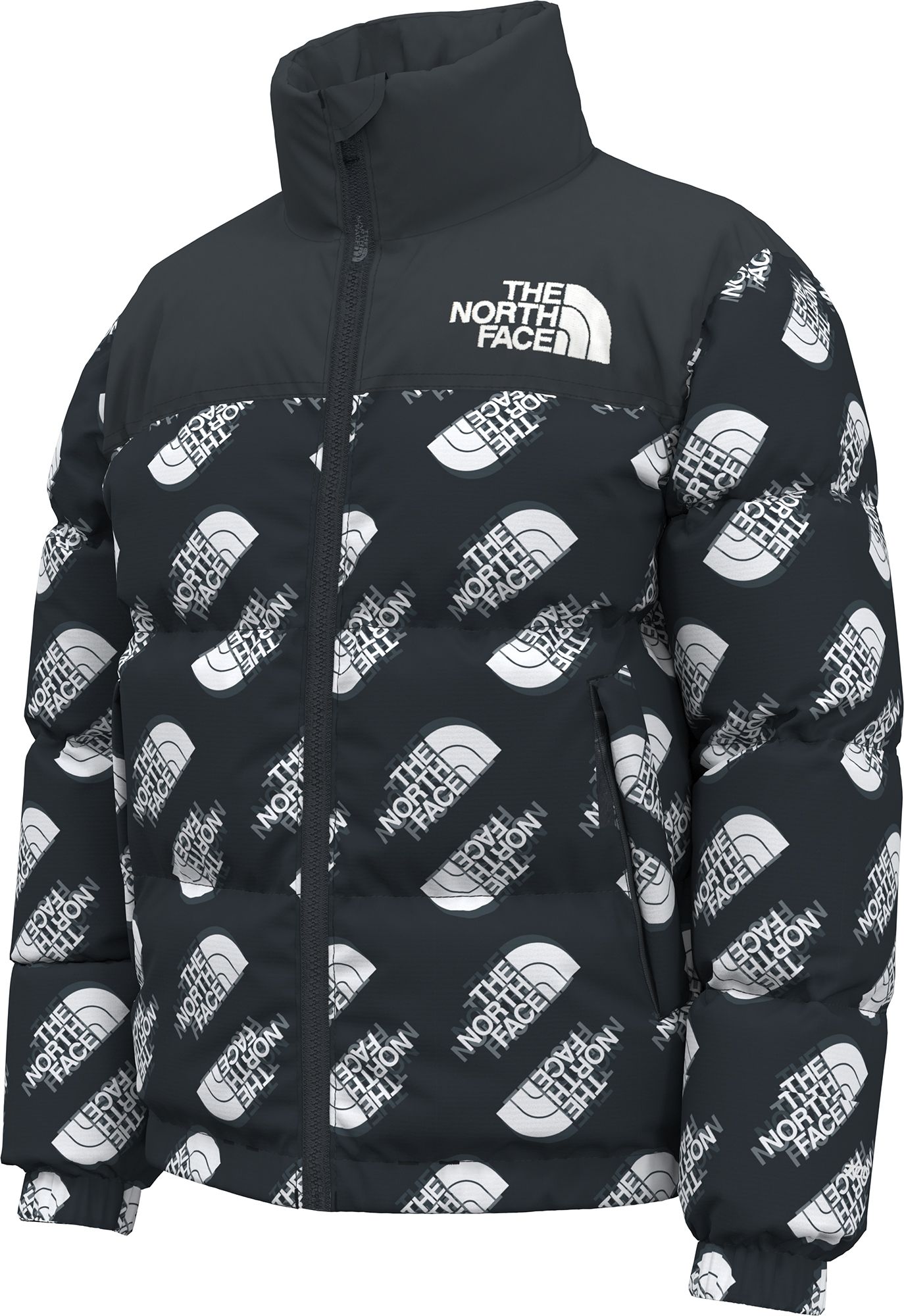 The North Face Youth 1996 Retro Nuptse Jacket product image