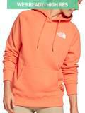 The North Face Women's Parks Pullover Hoodie product image