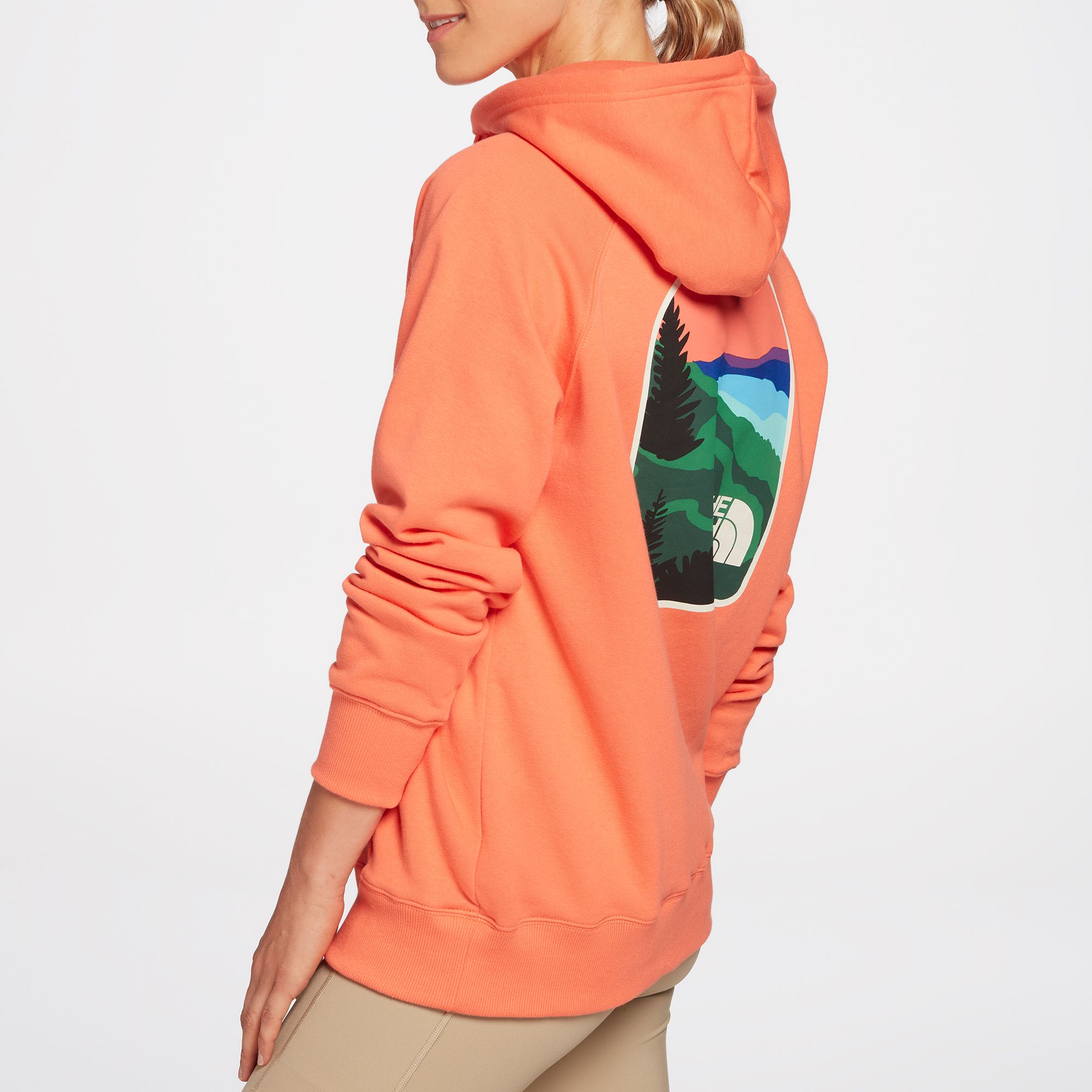 The North Face Women's Parks Pullover Hoodie product image