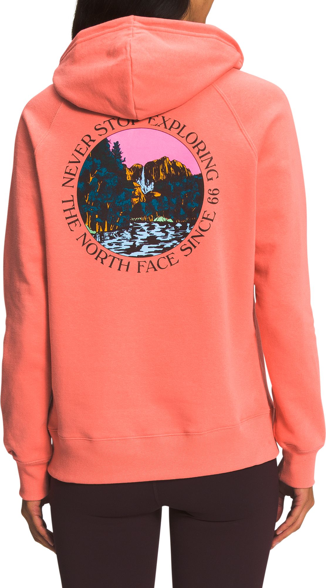 The North Face Women's Graphic Injection Hoodie product image
