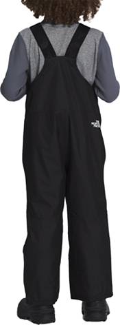 The North Face Boys' Freedom Insulated Bib product image