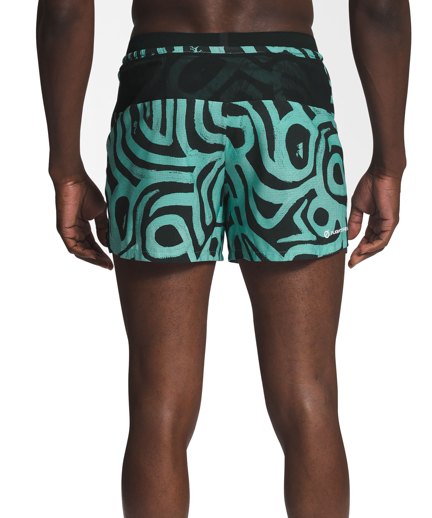 The North Face Men's Printed Flight Stridelight Running Shorts product image