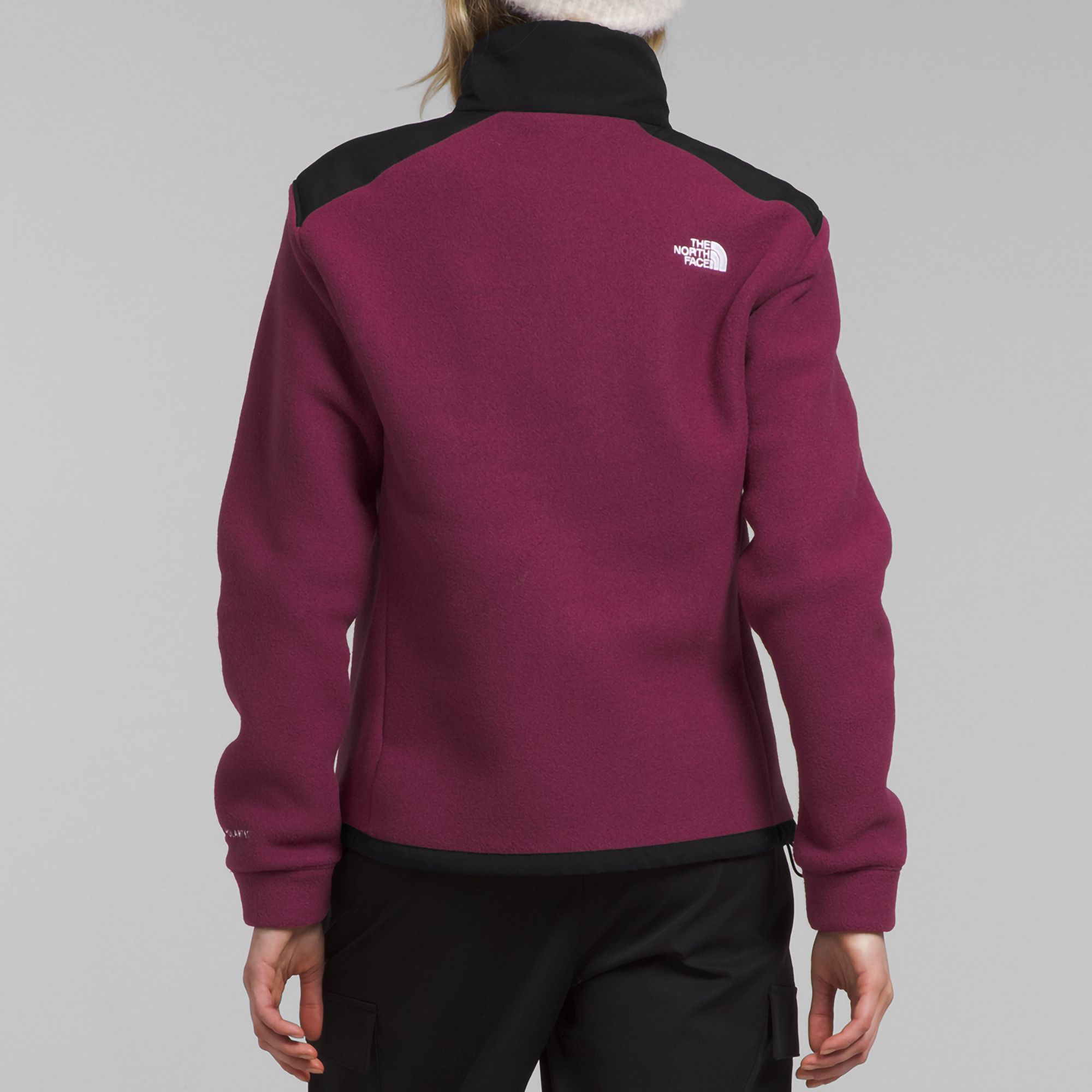 The North Face Women's Alpine Polartec 200 Full-Zip Jacket product image