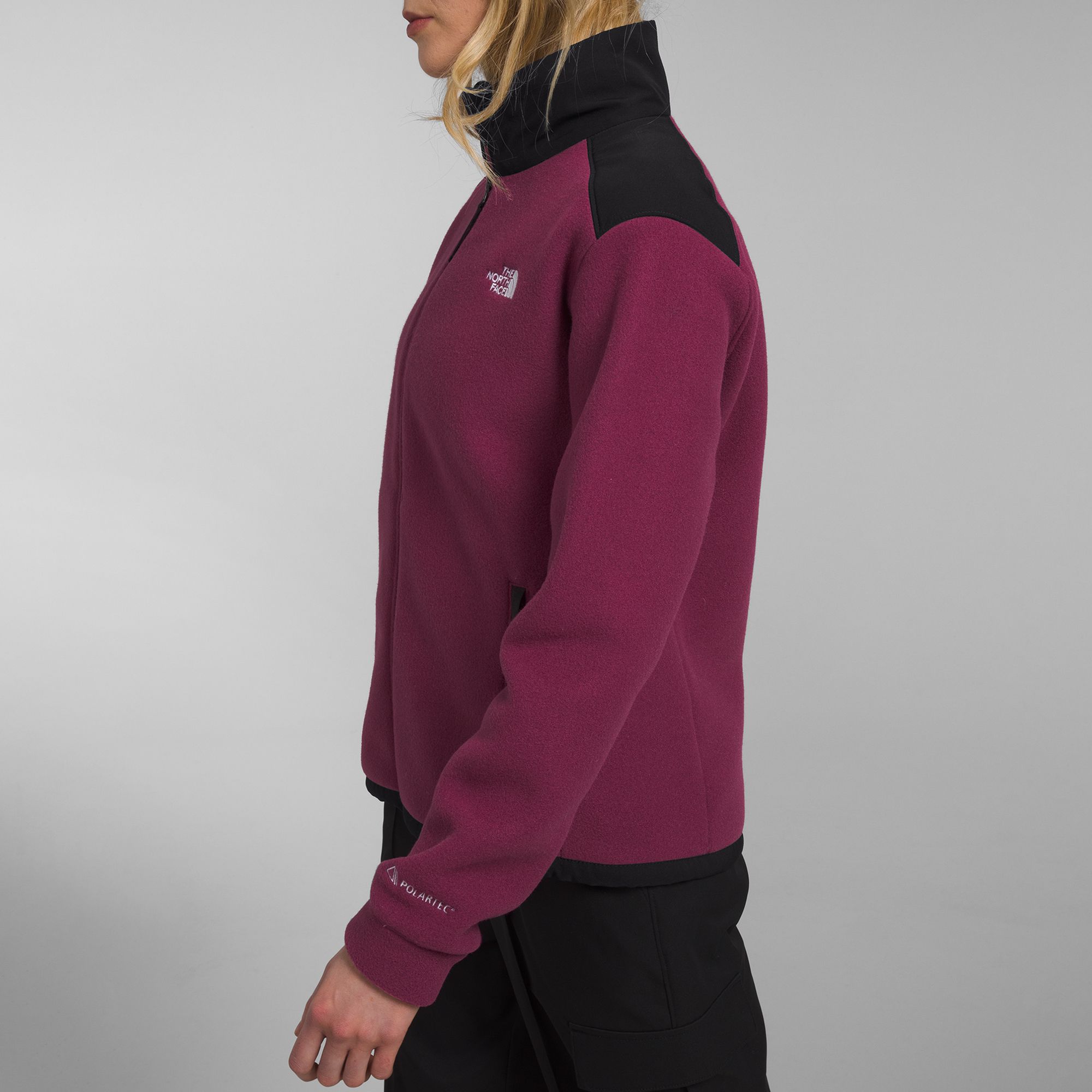 The North Face Women's Alpine Polartec 200 Full-Zip Jacket product image