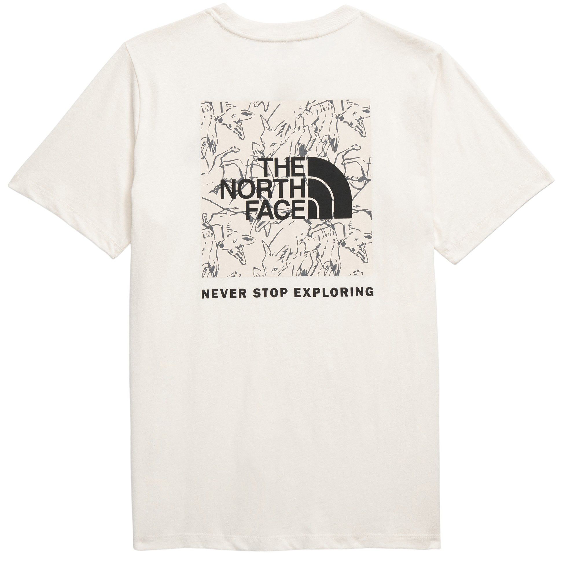 The North Face Women's Short Sleeve Box NSE Graphic T-Shirt product image