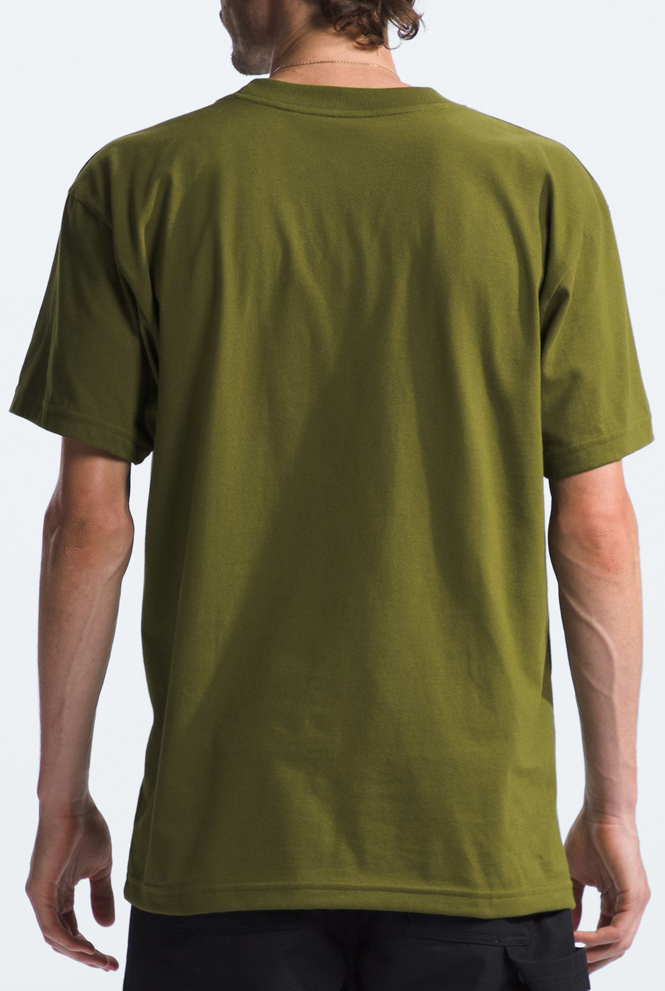 The North Face Men's Evolution Short-Sleeve Tee product image