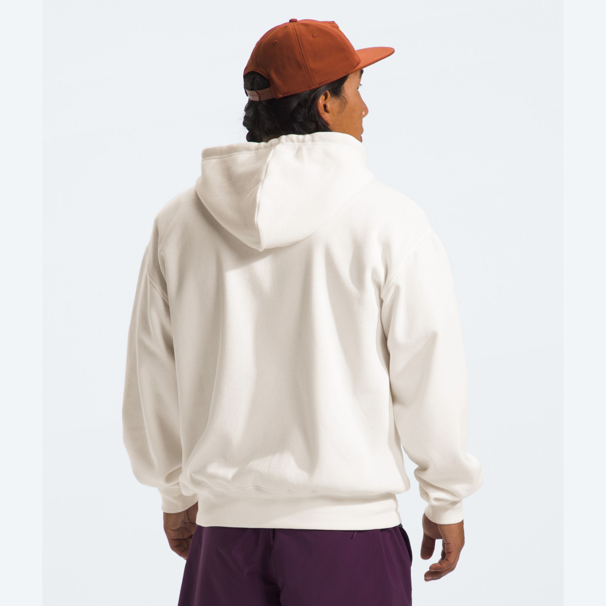 The North Face Men's Evolution Hoodie product image