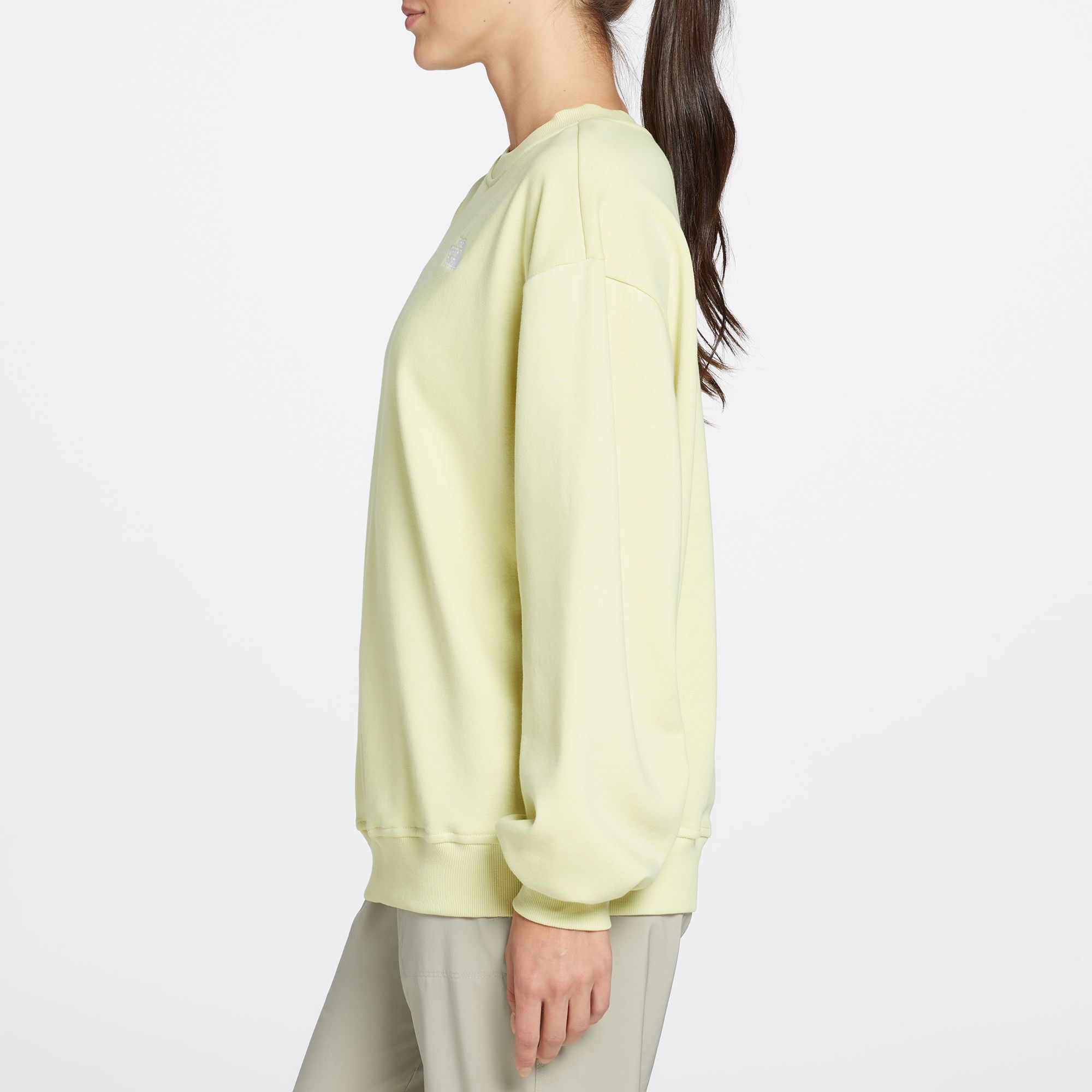 The North Face Women's Evolution Oversized Crewneck Sweatshirt product image