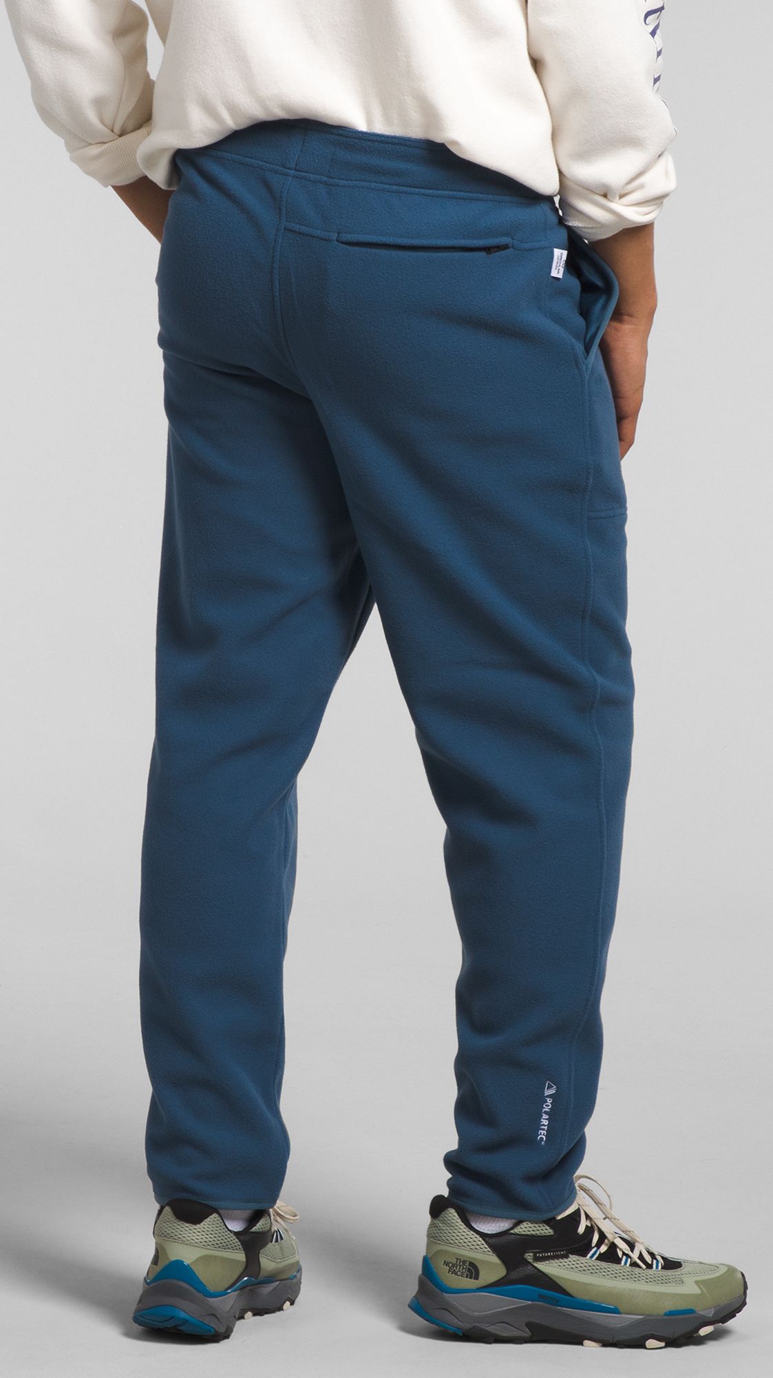 The North Face Men's Alpine Polartec 100 Pants product image
