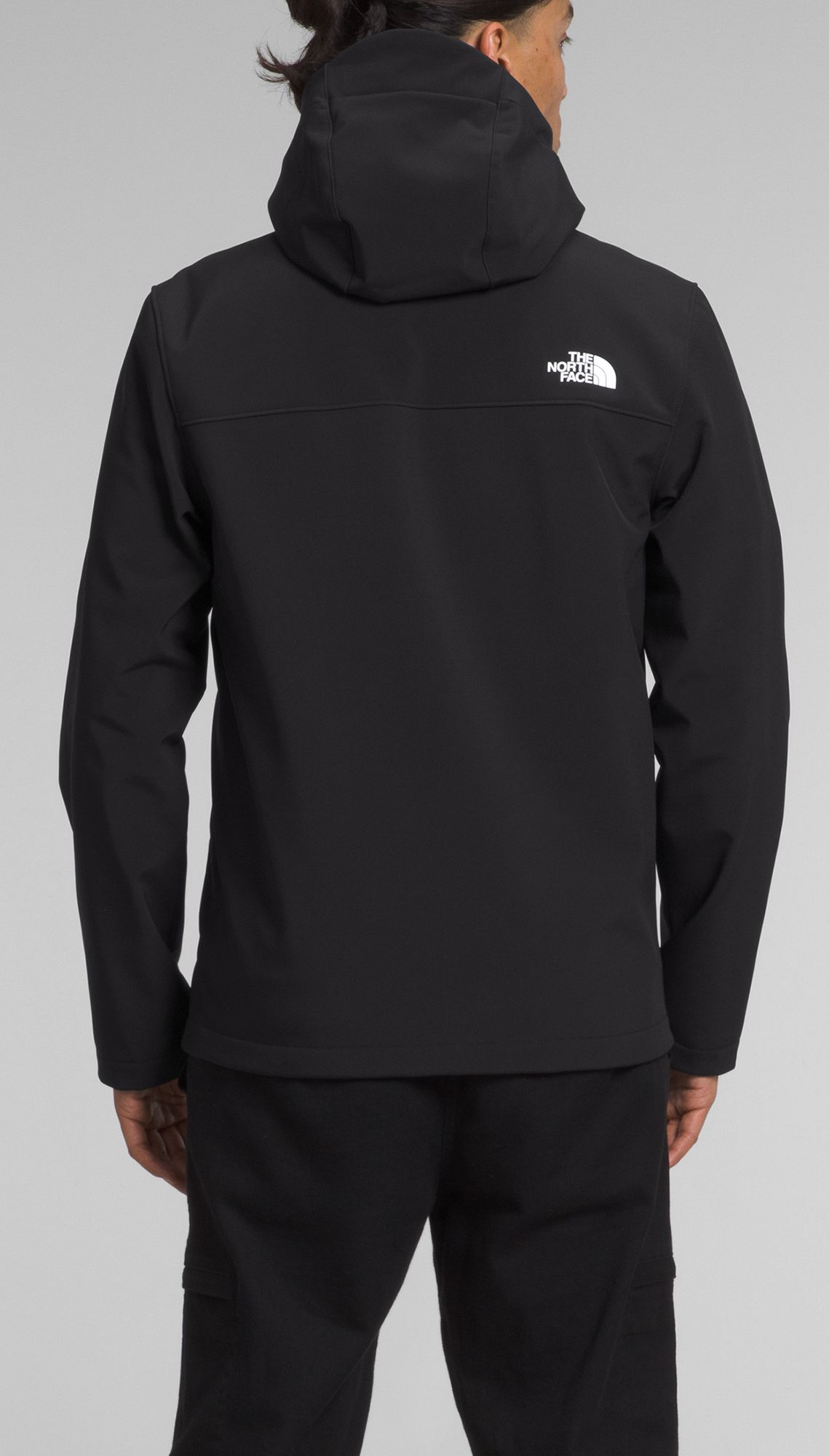 The North Face Men's Apex Bionic 3 Hoodie product image