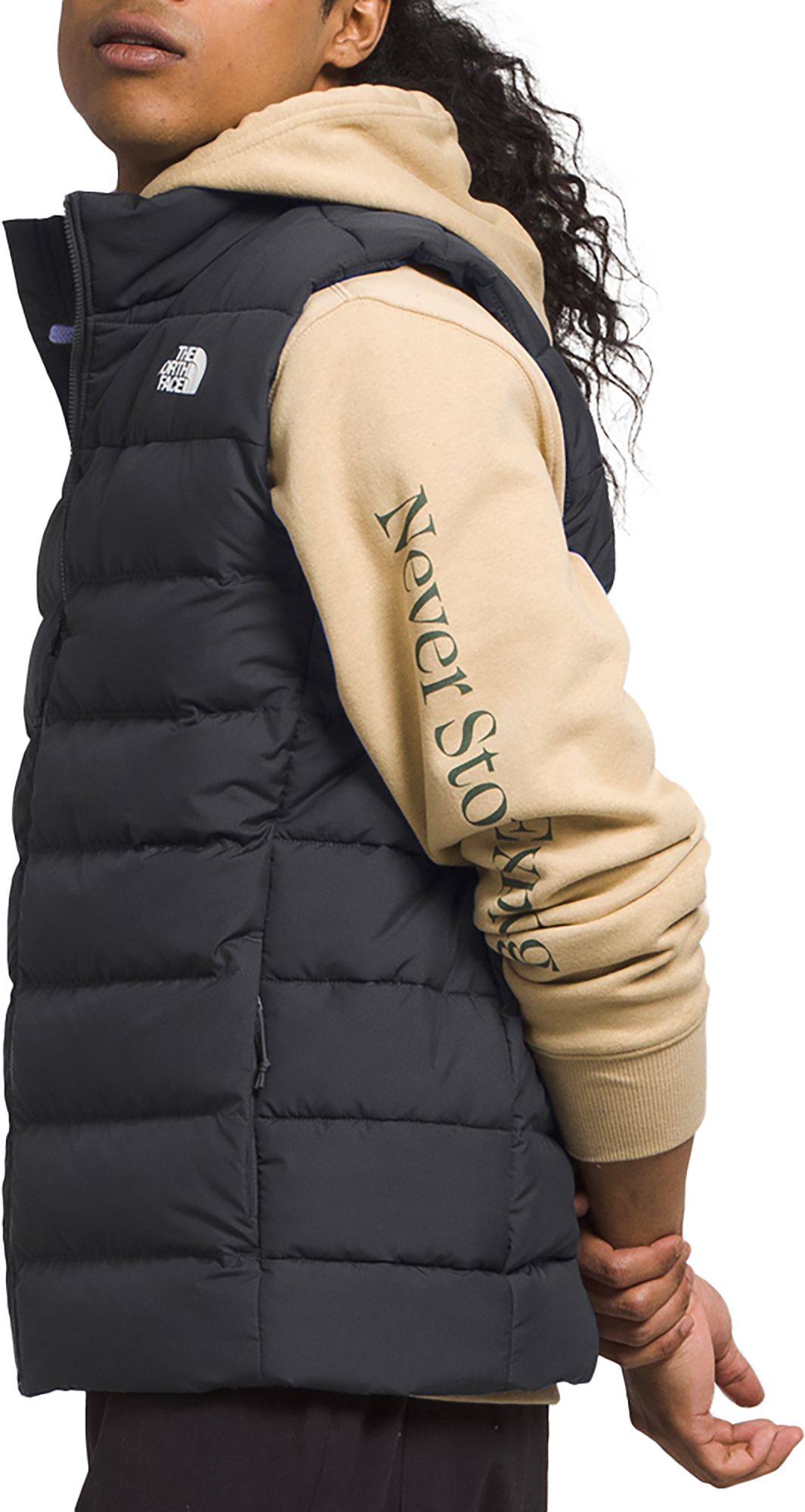 The North Face Men's Aconcagua 3 Vest product image