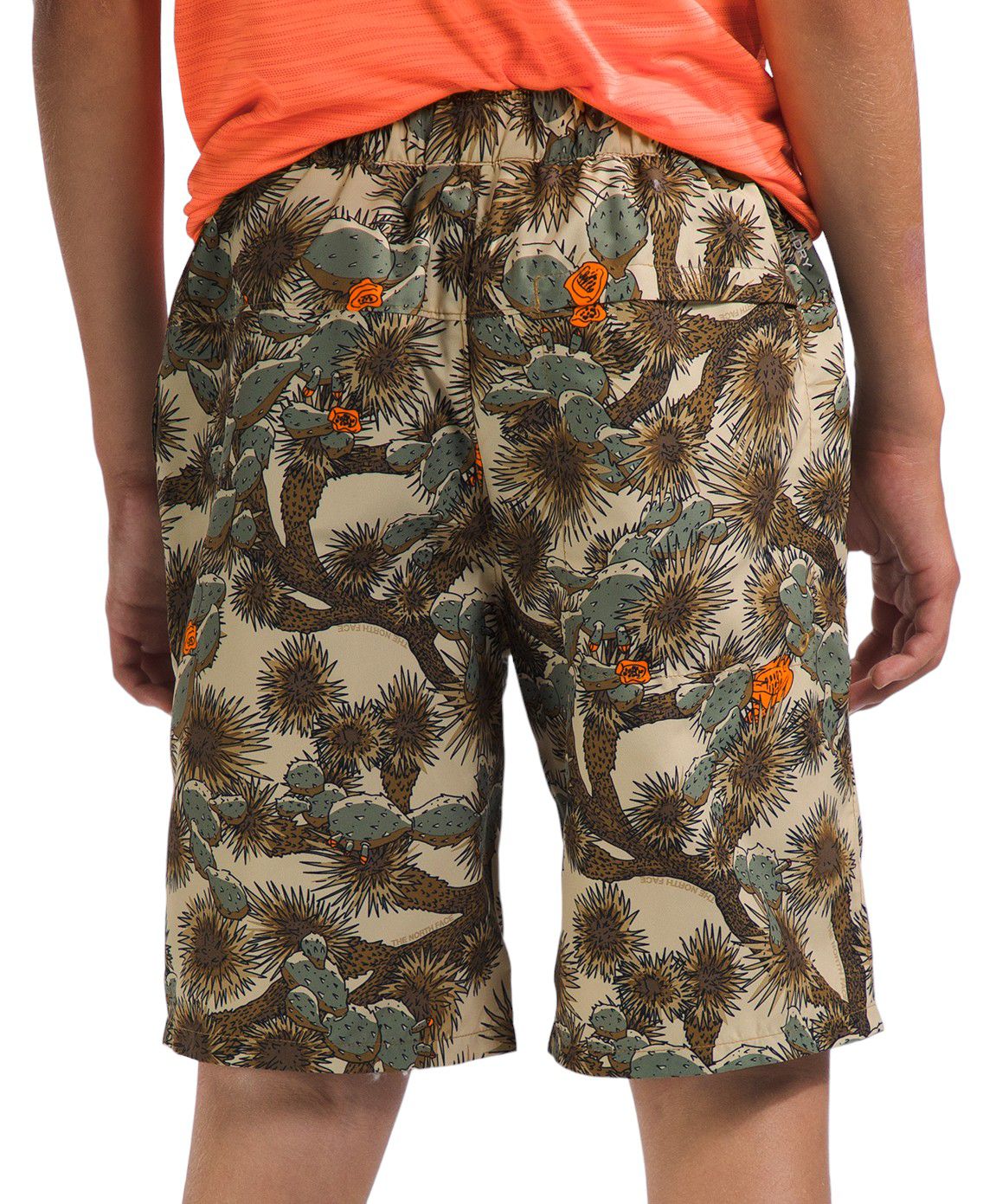 The North Face Boys' Amphibious Class V Belted Shorts product image
