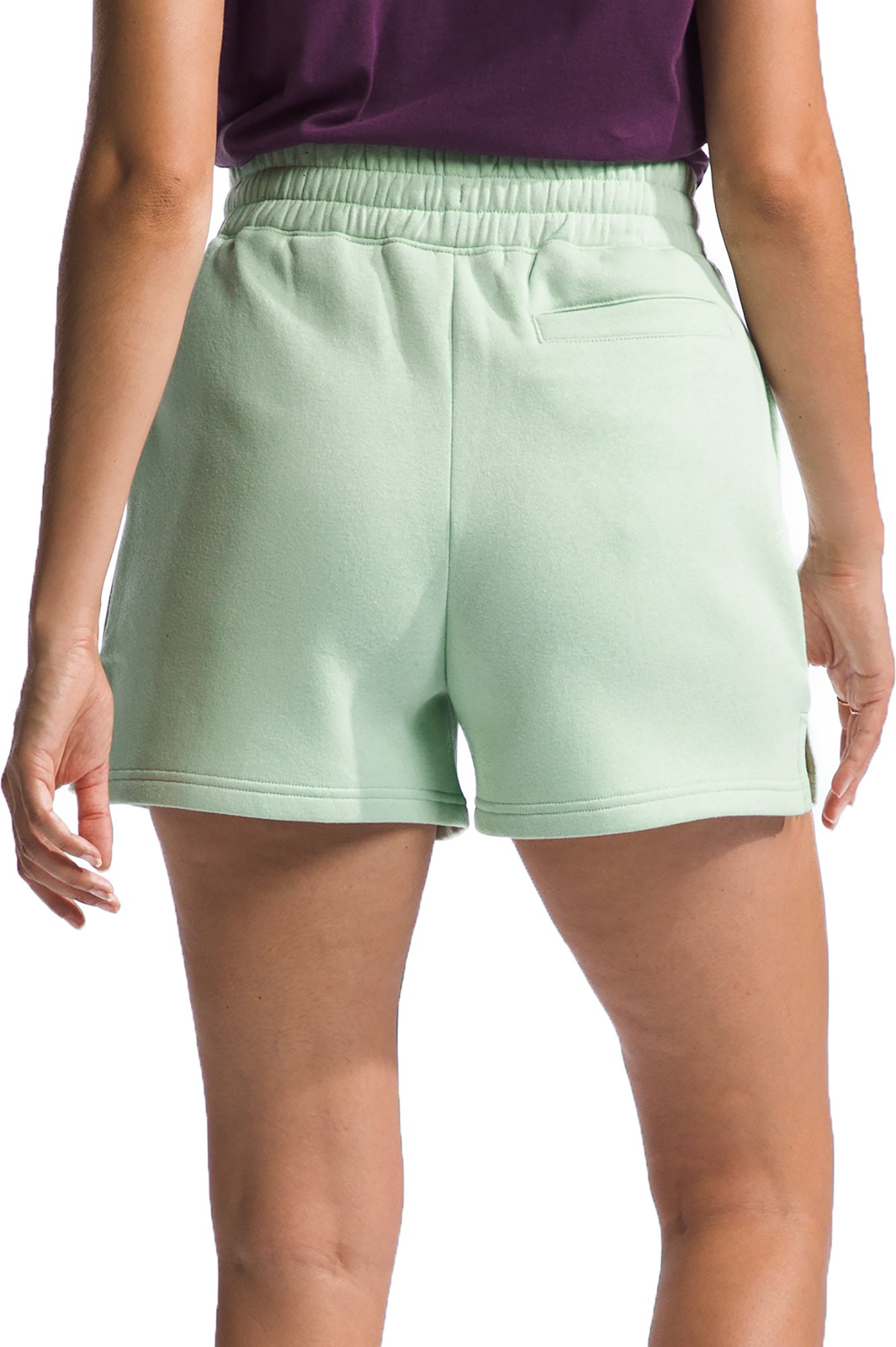 The North Face Women's Evolution Fleece Short product image