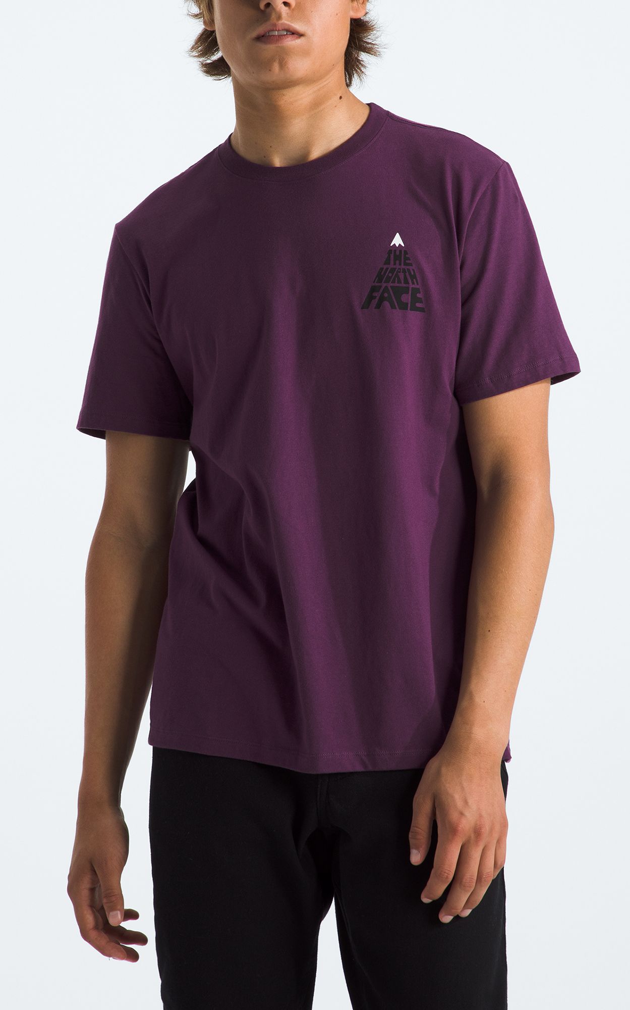 The North Face Men's Brand Proud T-Shirt product image