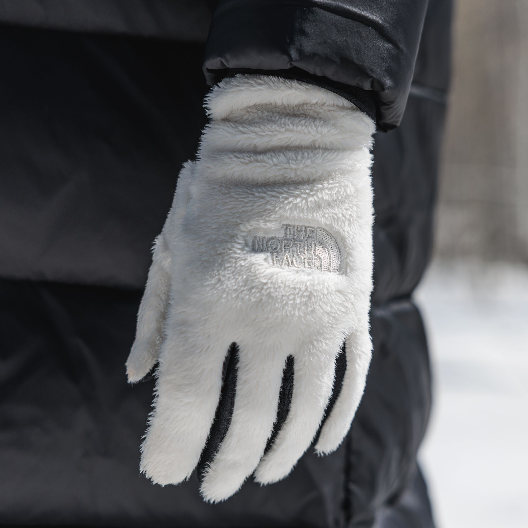 The North Face Women's Osito Etip Gloves product image