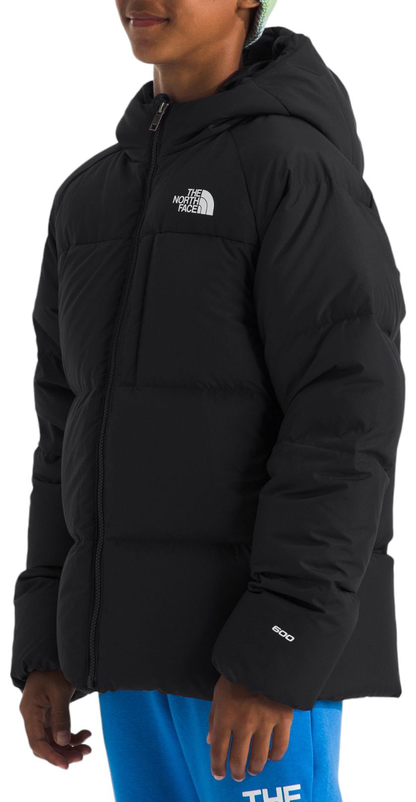 The North Face Boys' North Down Hooded Jacket product image
