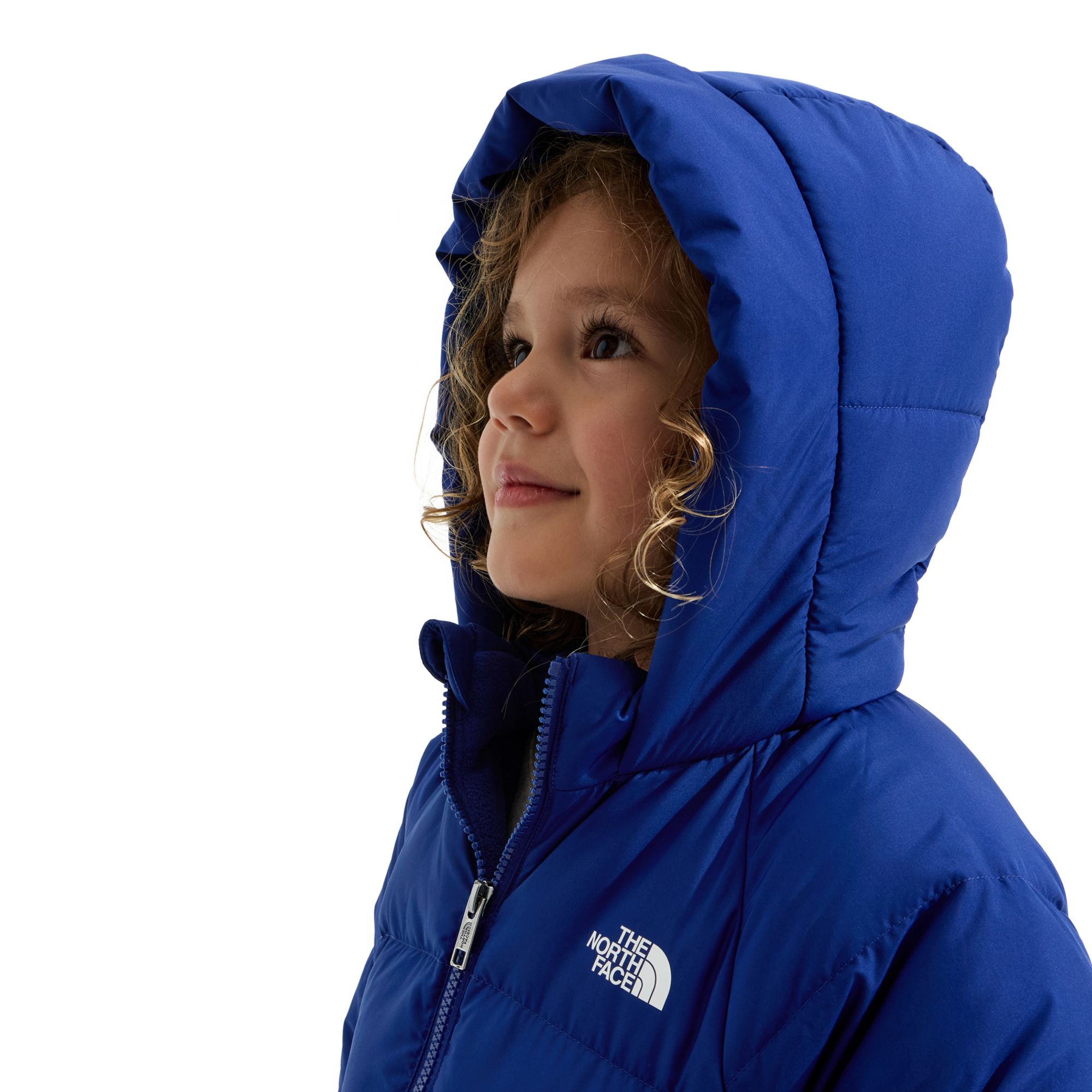 The North Face Little Kids' North Down Fleece-Lined Parka product image